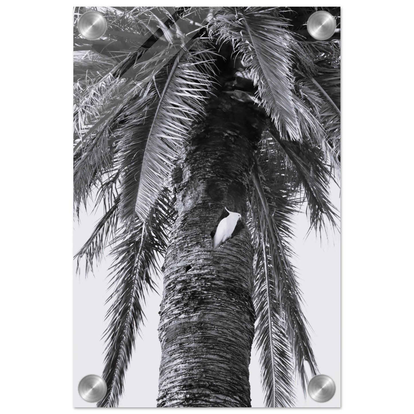 50d0bbb8-3673-4d02-8105-03da197402d5