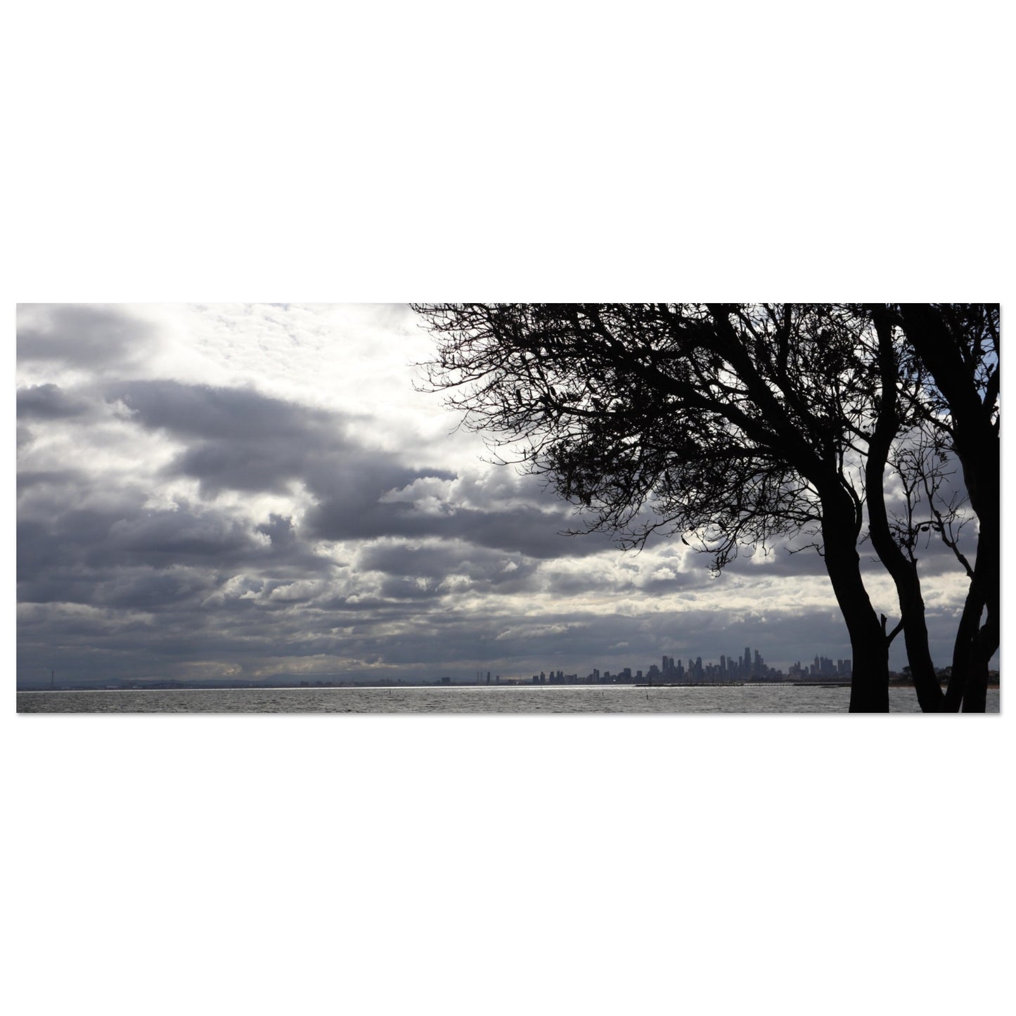 53349d42-eb3b-4285-9c4d-acfbd2c1778a