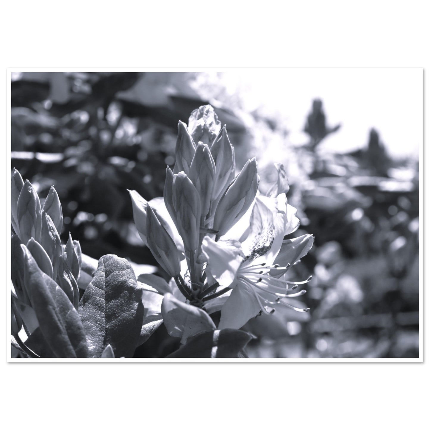 5724bacc-8361-482d-a812-1d2391139ead