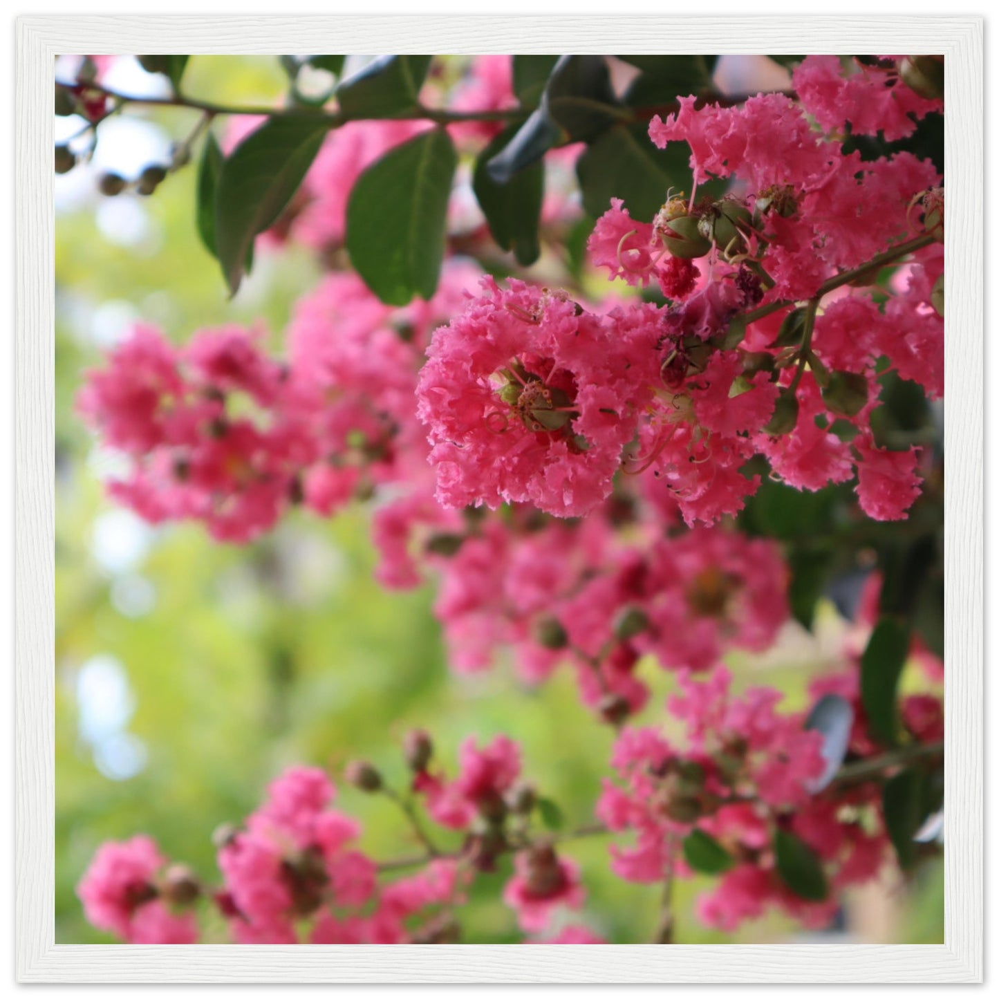 60286f93-c17b-4e7f-94ce-4de1cd682a7a