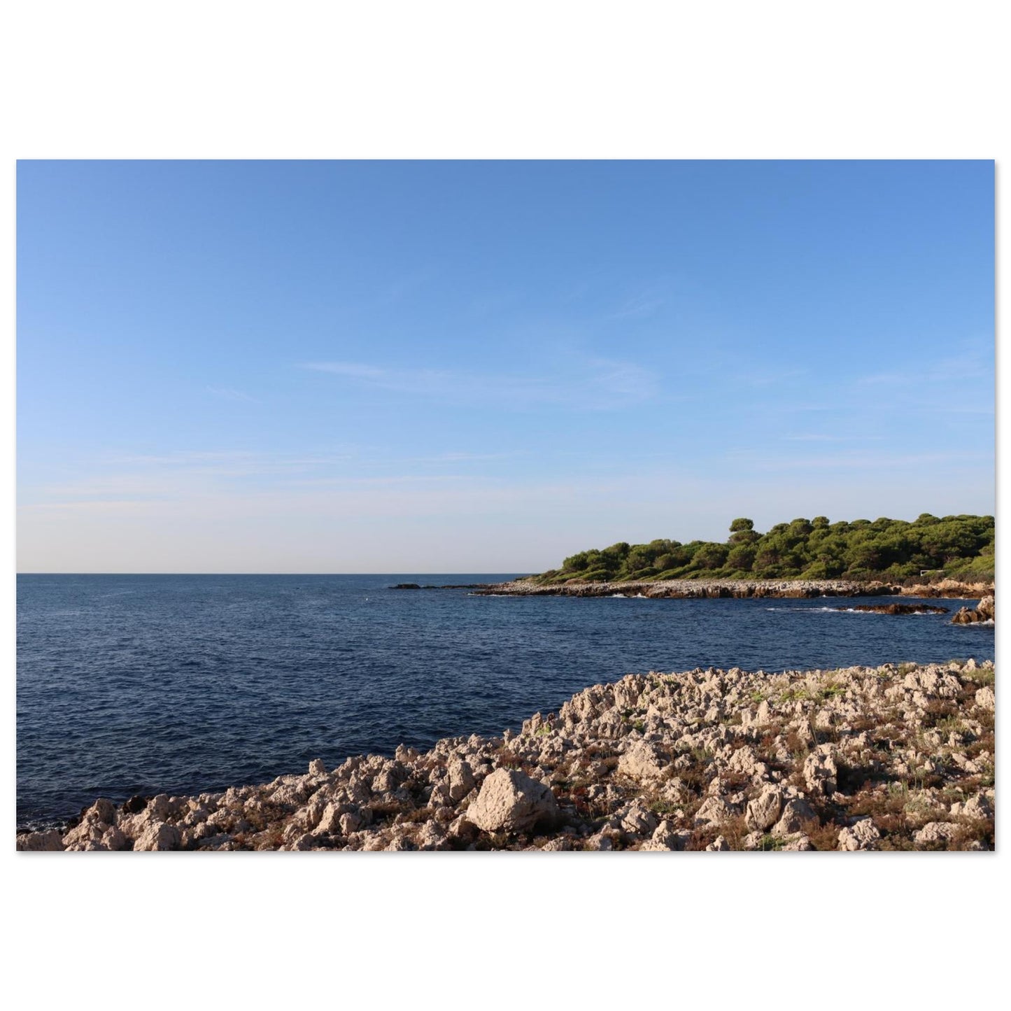 609ea943-2e48-451b-bbbf-87e9e311cd84