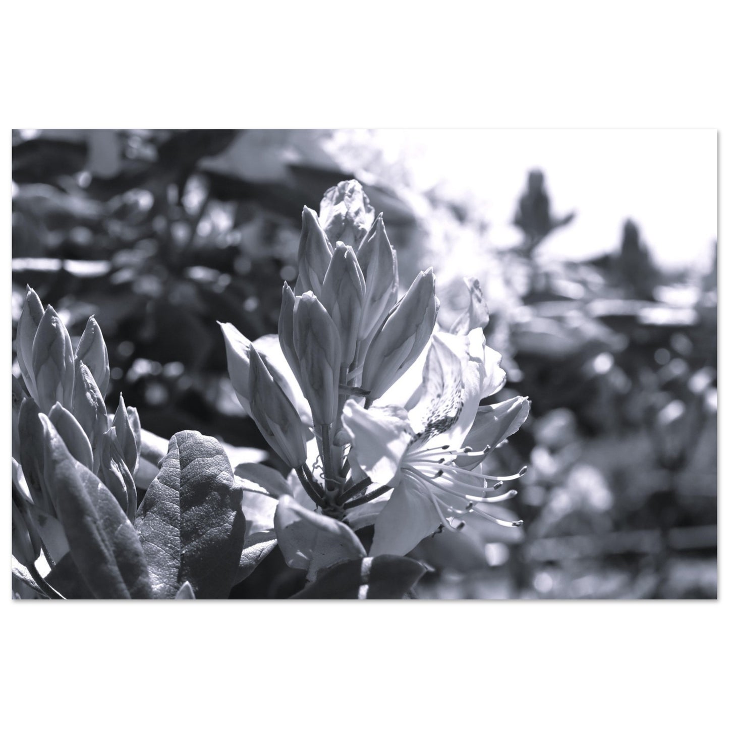 61f26893-2666-49a7-83f9-e9bf5328d182