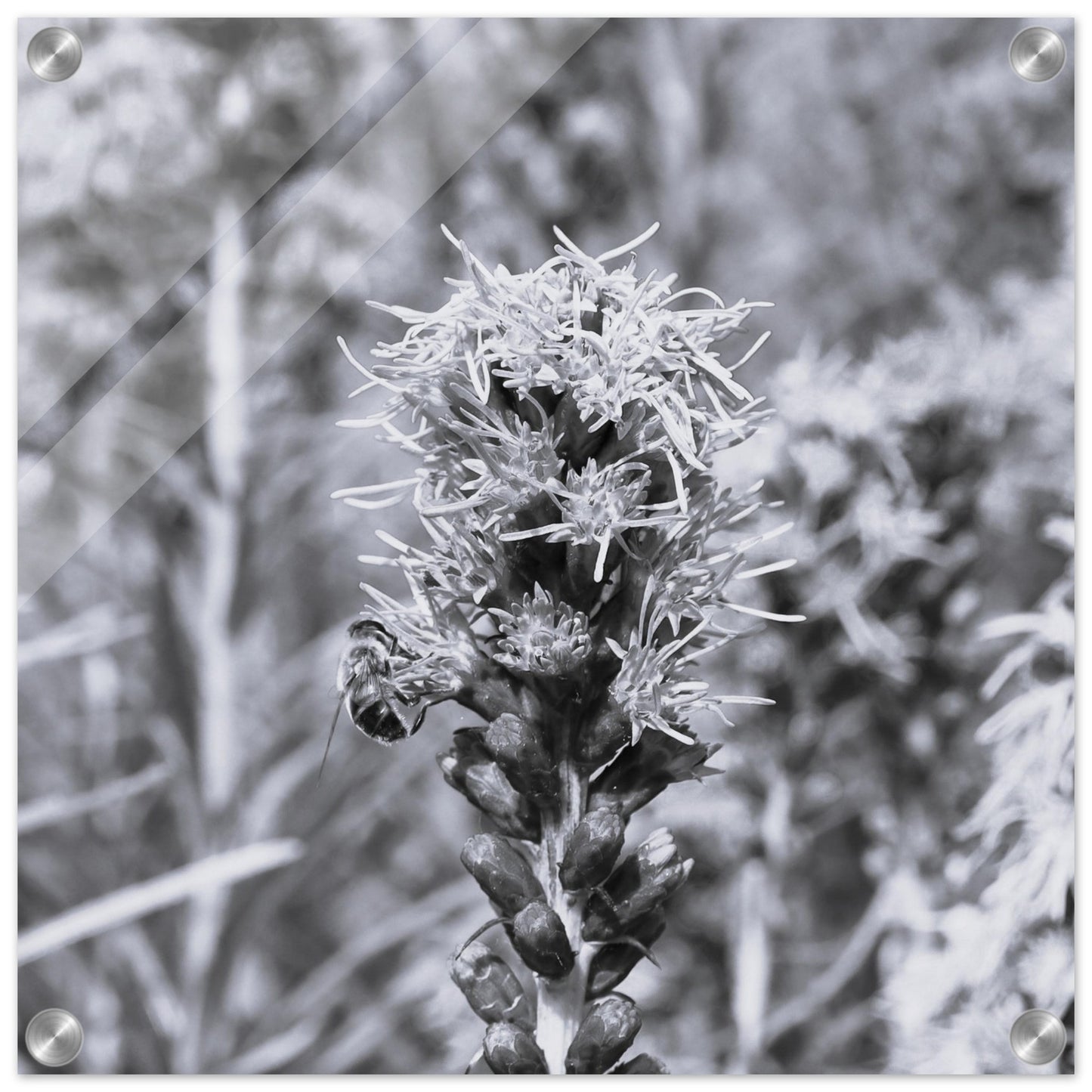 675f6fa2-55bb-4f16-9f34-4c27b80334d8
