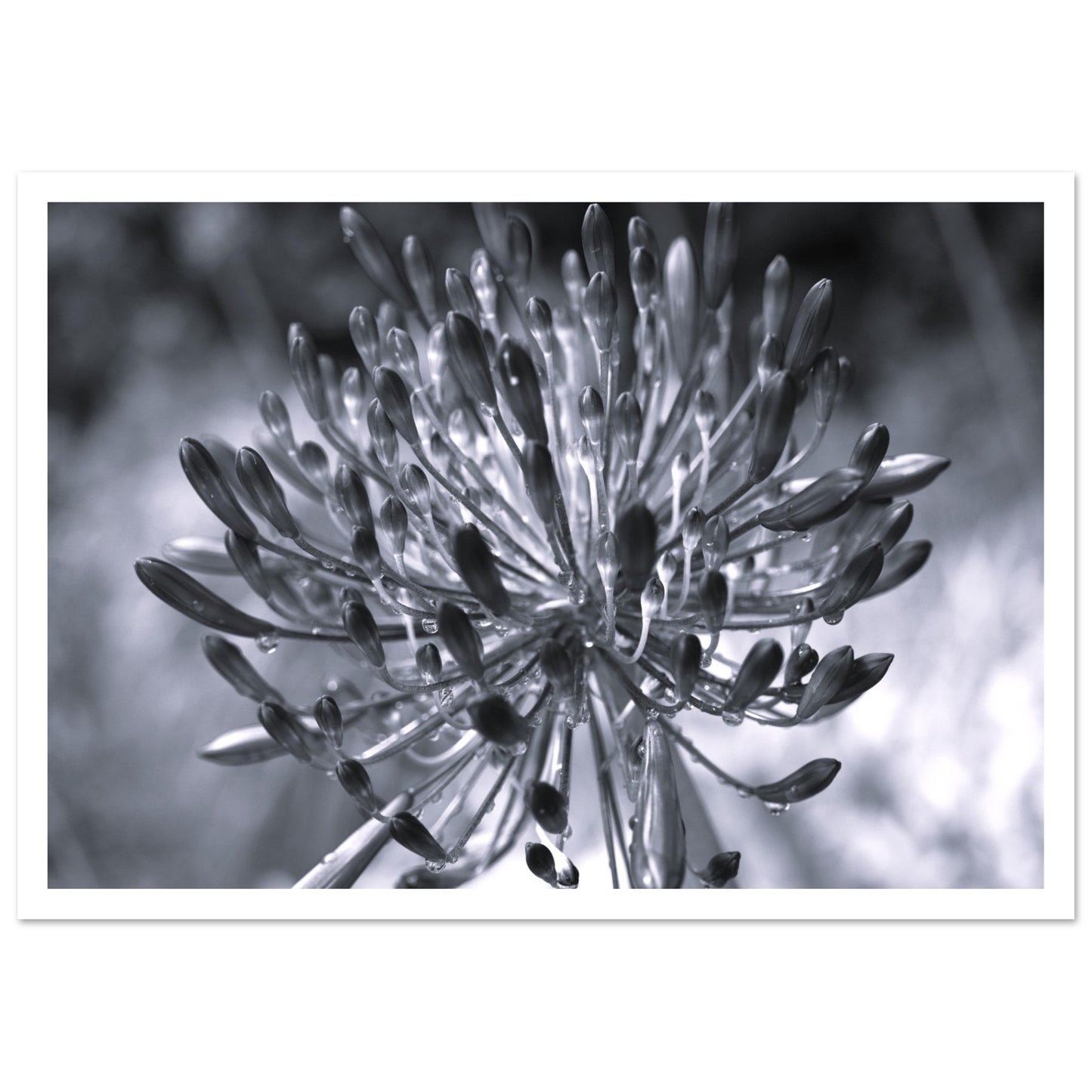 6a9b77cd-f004-406d-b910-471d9ef9e104