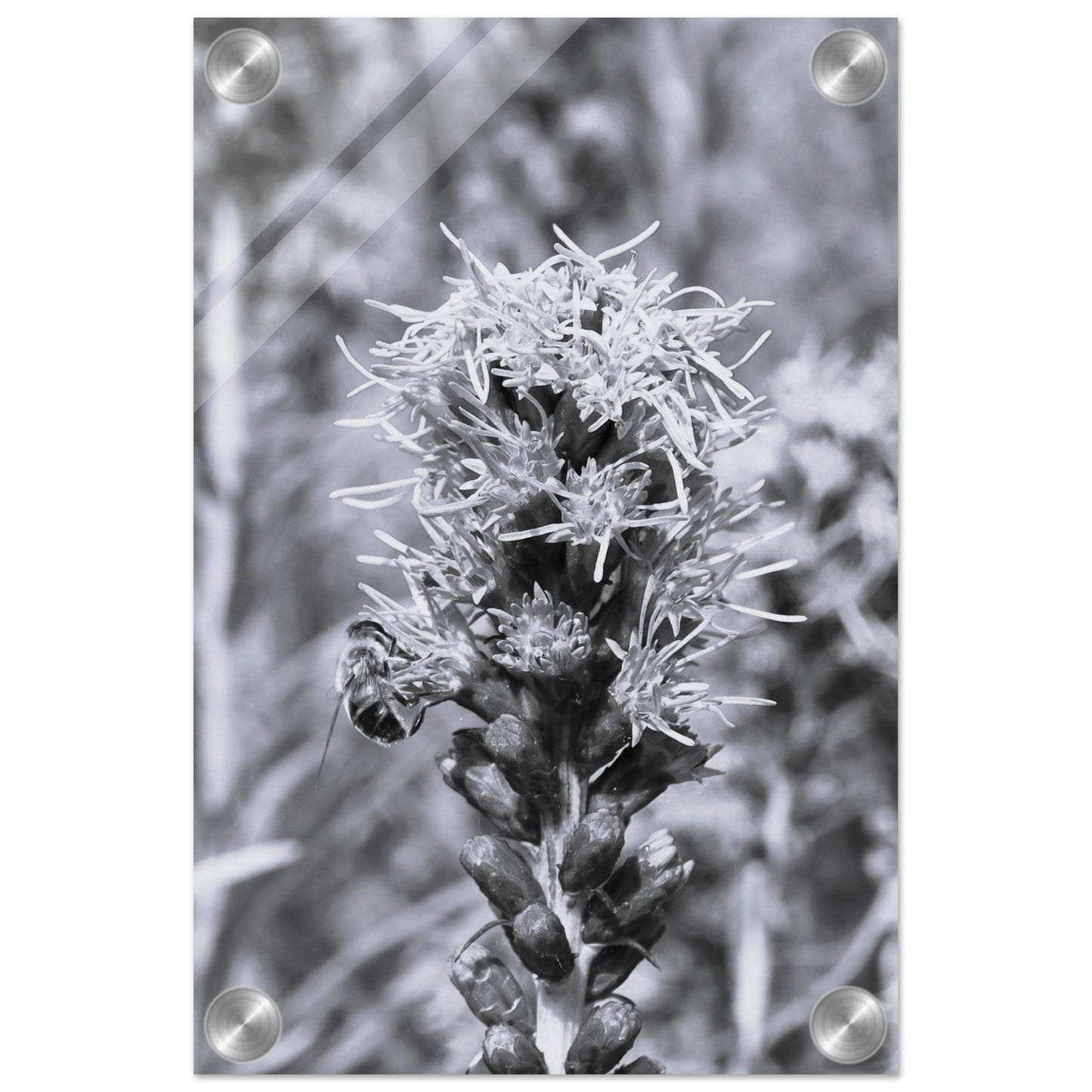 6c26de19-069e-44e2-b918-06092620bf6d