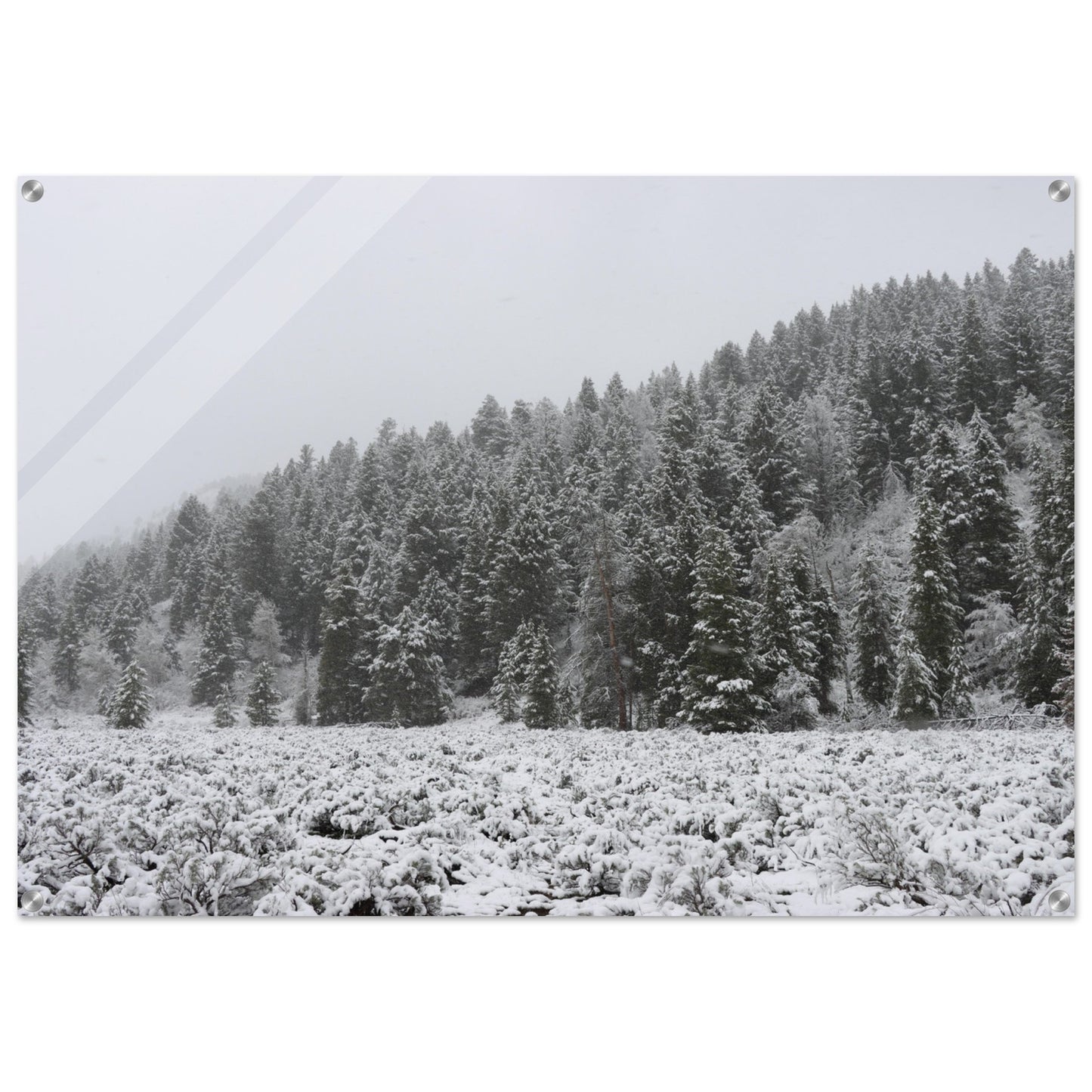 6c816dc3-f51a-4379-a56b-3ba05695d106