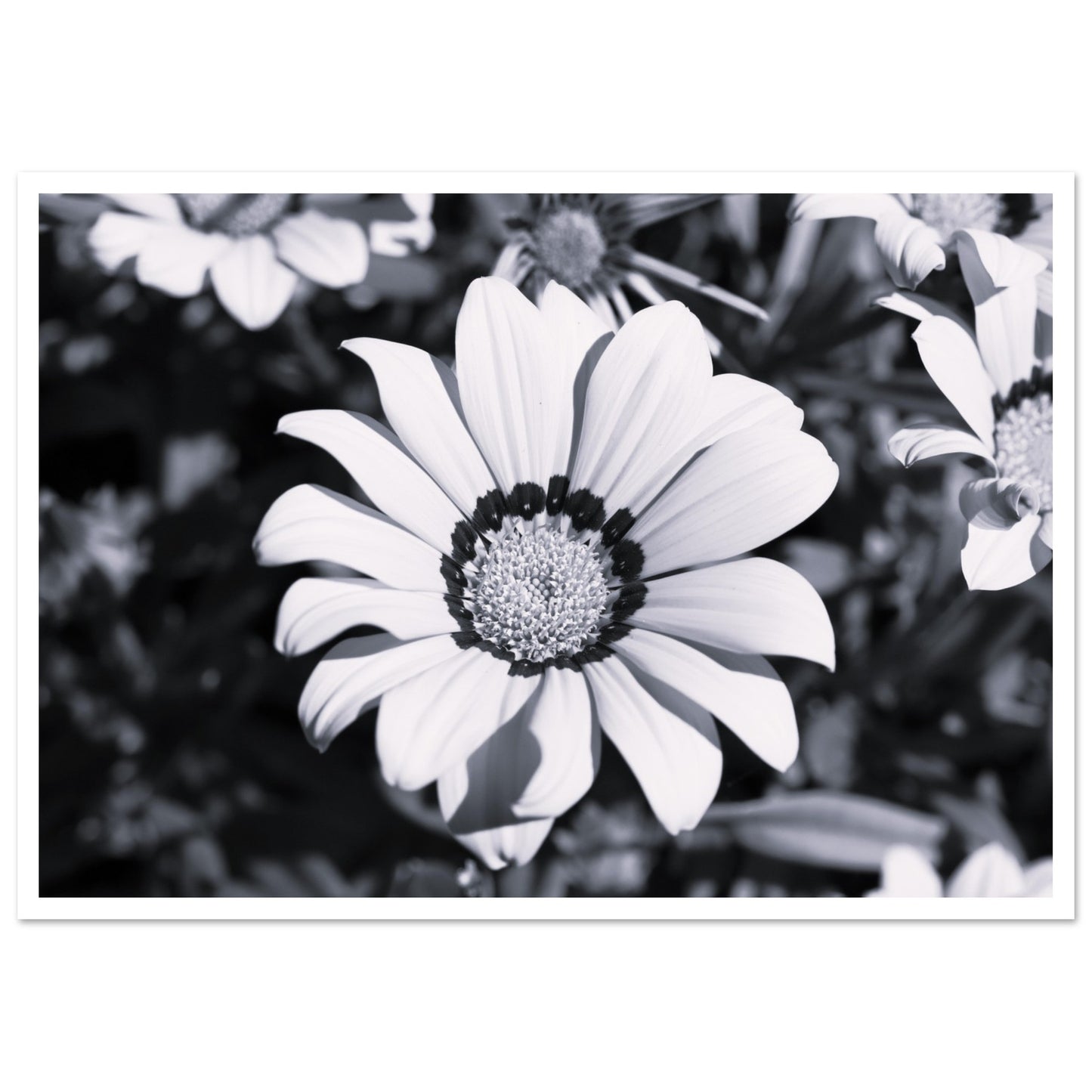 6d6f7080-a604-4fe0-8230-5b29e73e2a0f
