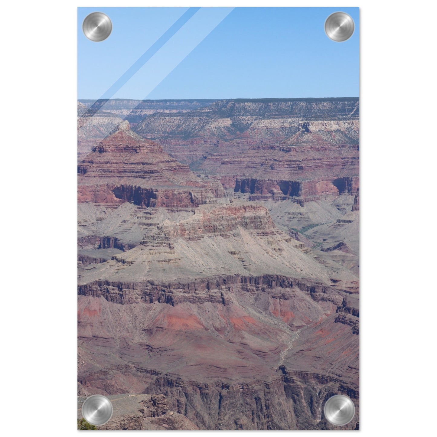6f0cb03c-d960-4b04-9276-06c9ea3574e5