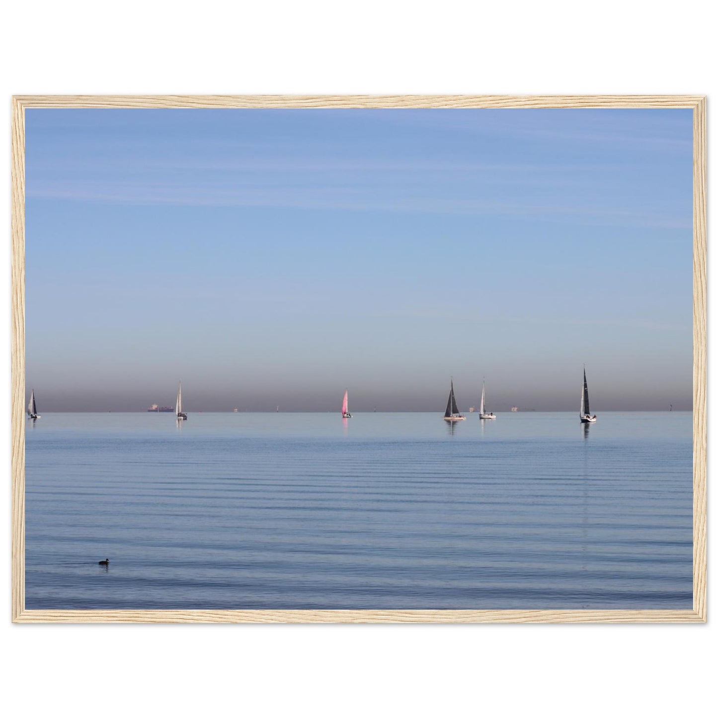 6fa44044-40e1-4d6b-bb31-2727b0daab9b