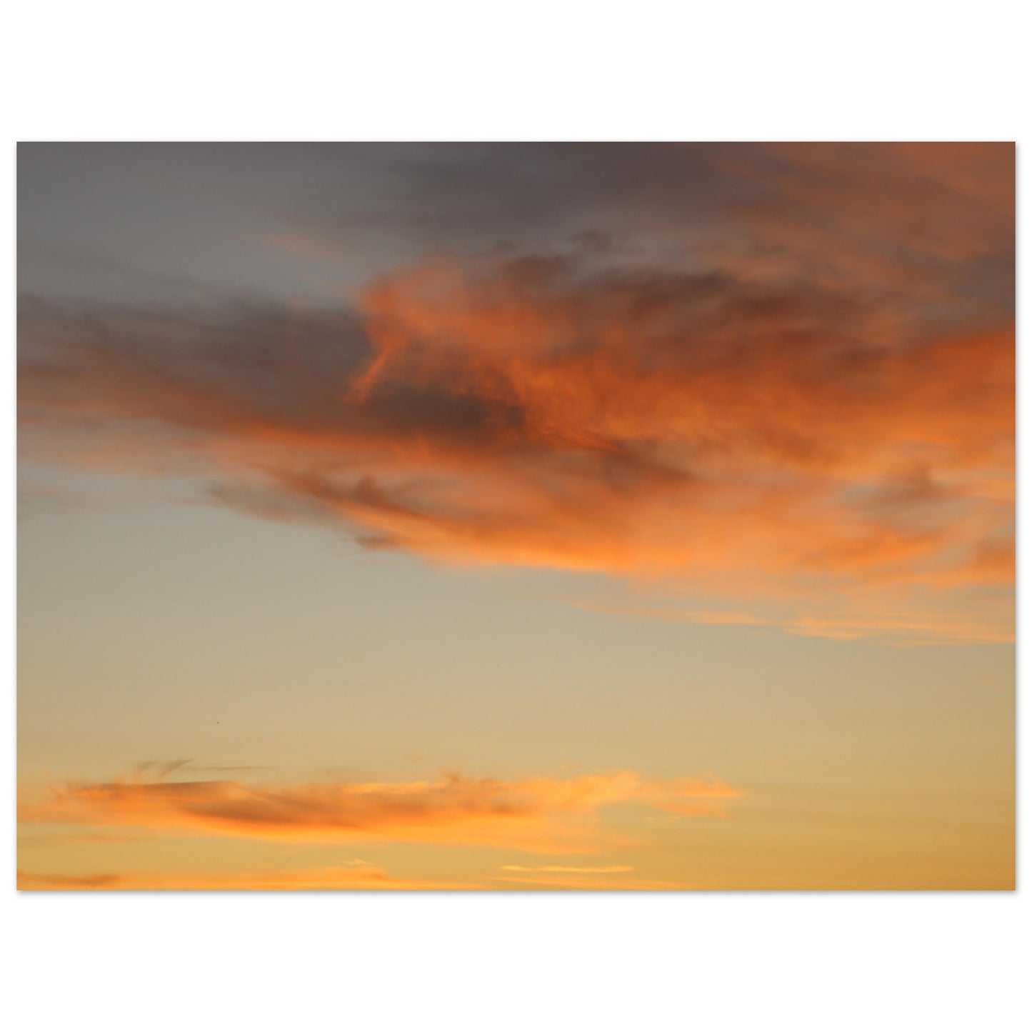 701f315c-97d0-4653-ae21-0ac524321997