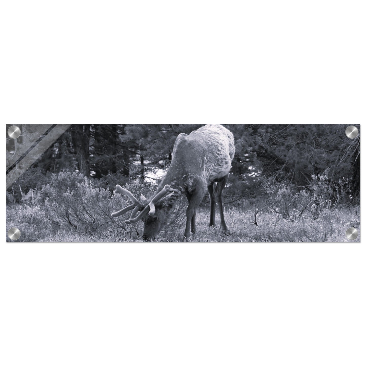 70aaf44a-b975-4dbd-b8ee-a5c042504f30