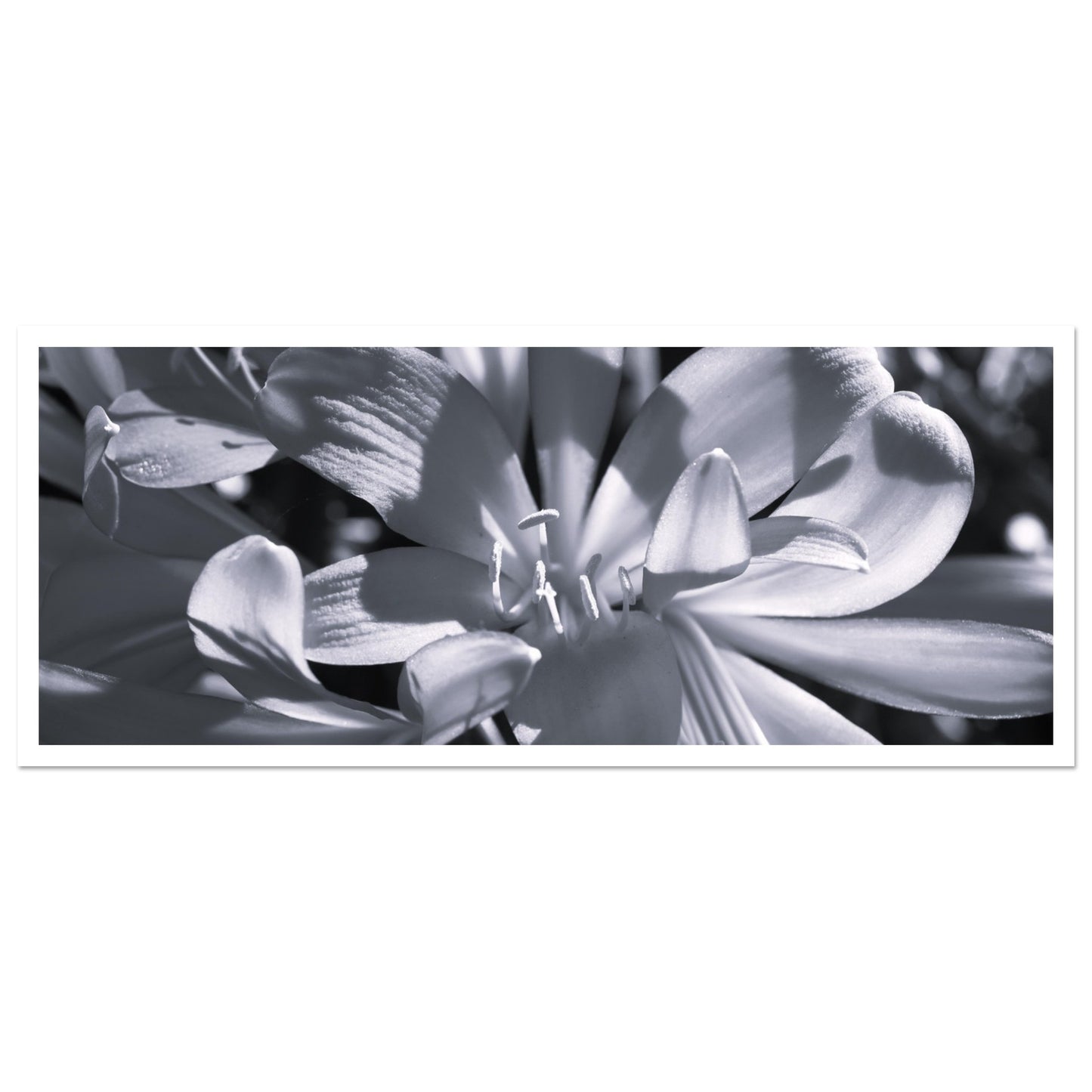 7128ccb1-af28-4c95-bdc3-ffbb4c675297