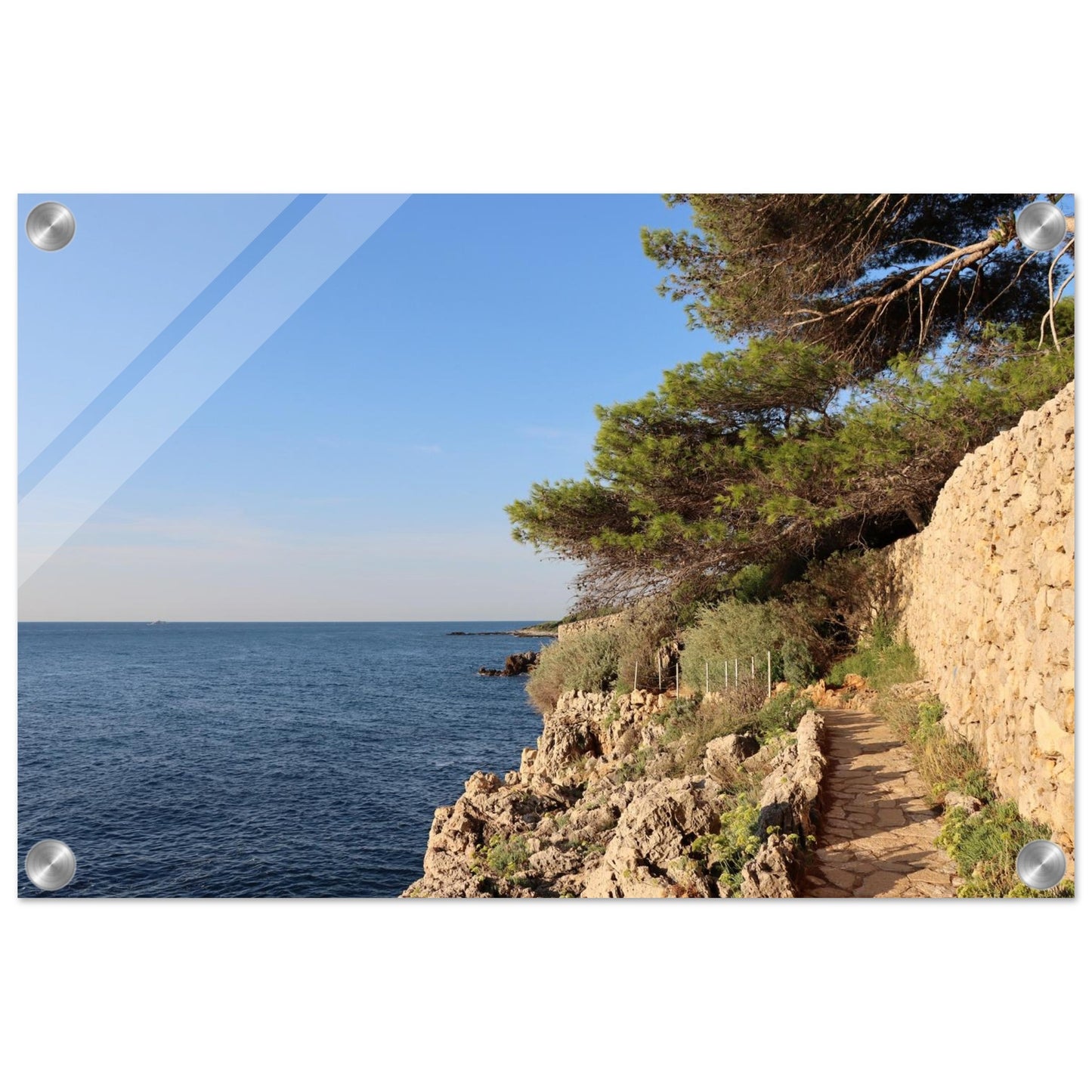 73a79565-8cd3-4680-9ecb-2d55123f3698