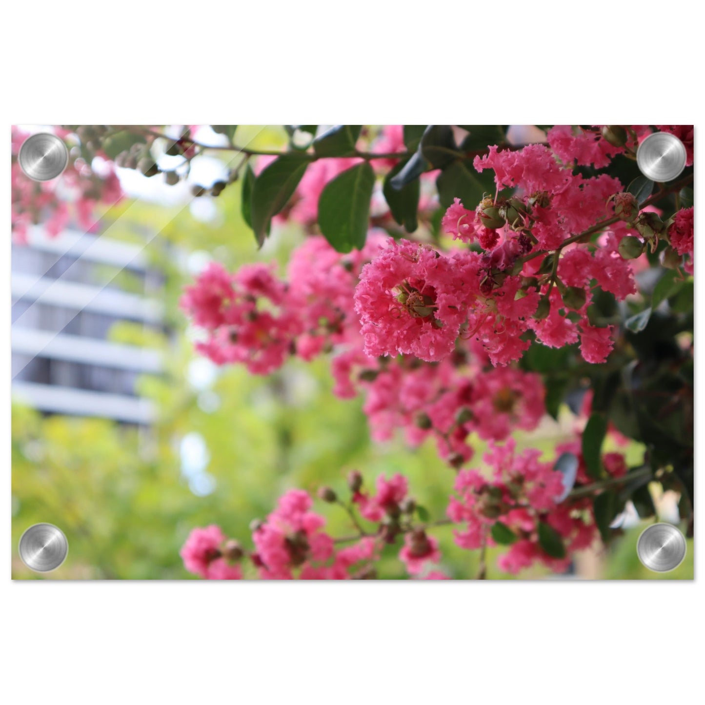 74fb46bd-34f4-43d9-bc72-29840a547d57