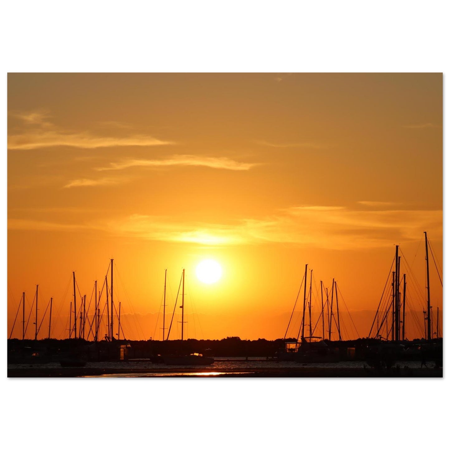 795c9912-32dd-4b6e-8134-2d7e940c2c0b