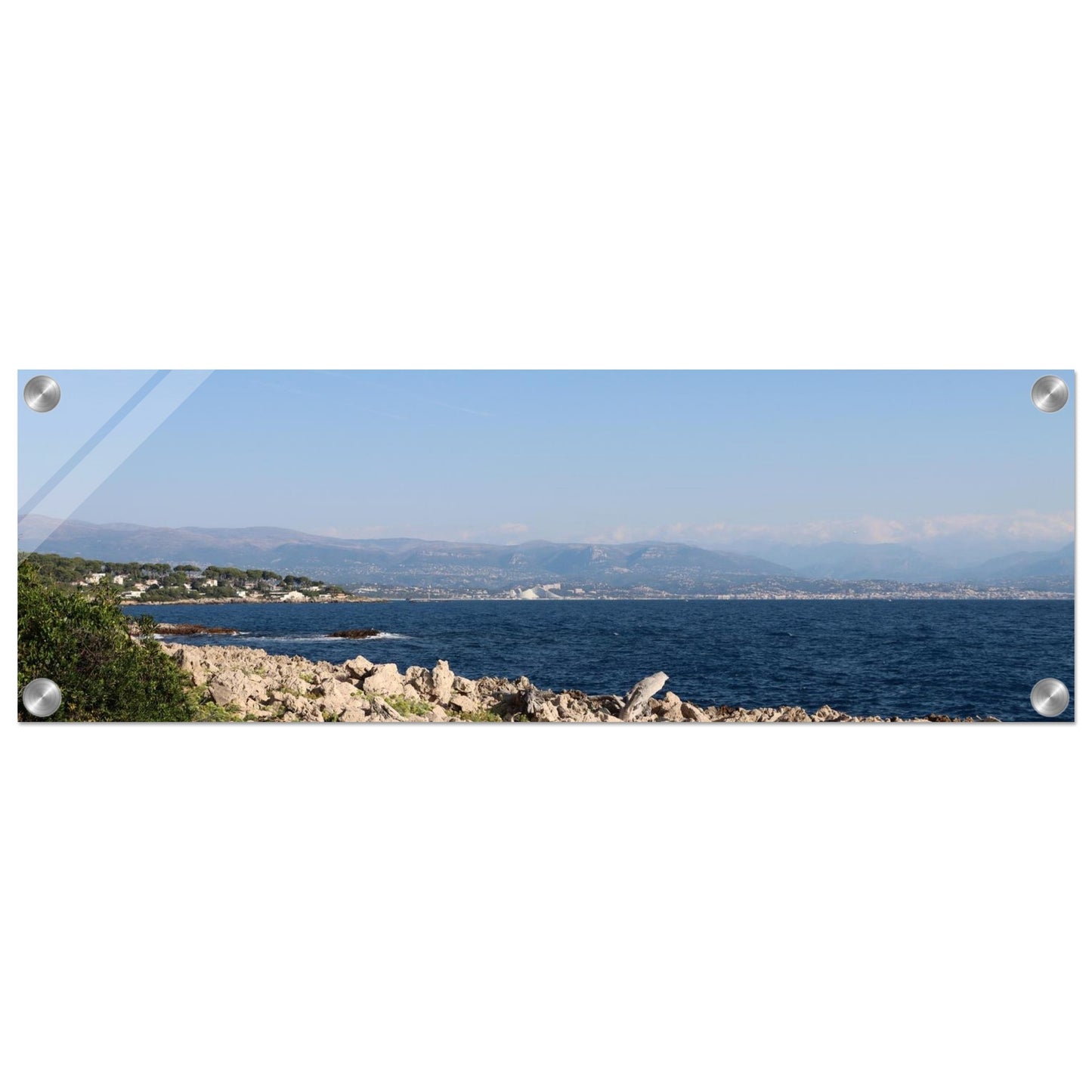 79f172e9-fb70-4905-b6a1-f04e1995be56