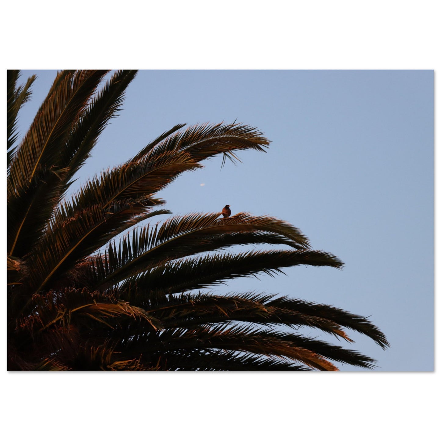 7acc66af-c020-434a-ac13-11b6d153c4d0