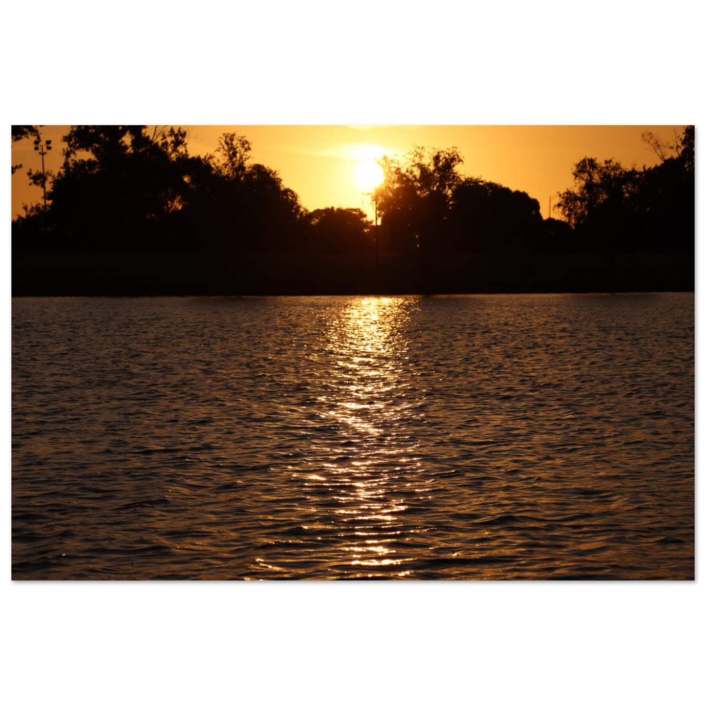 8177f681-da0c-4859-8480-15ef4e90fd08