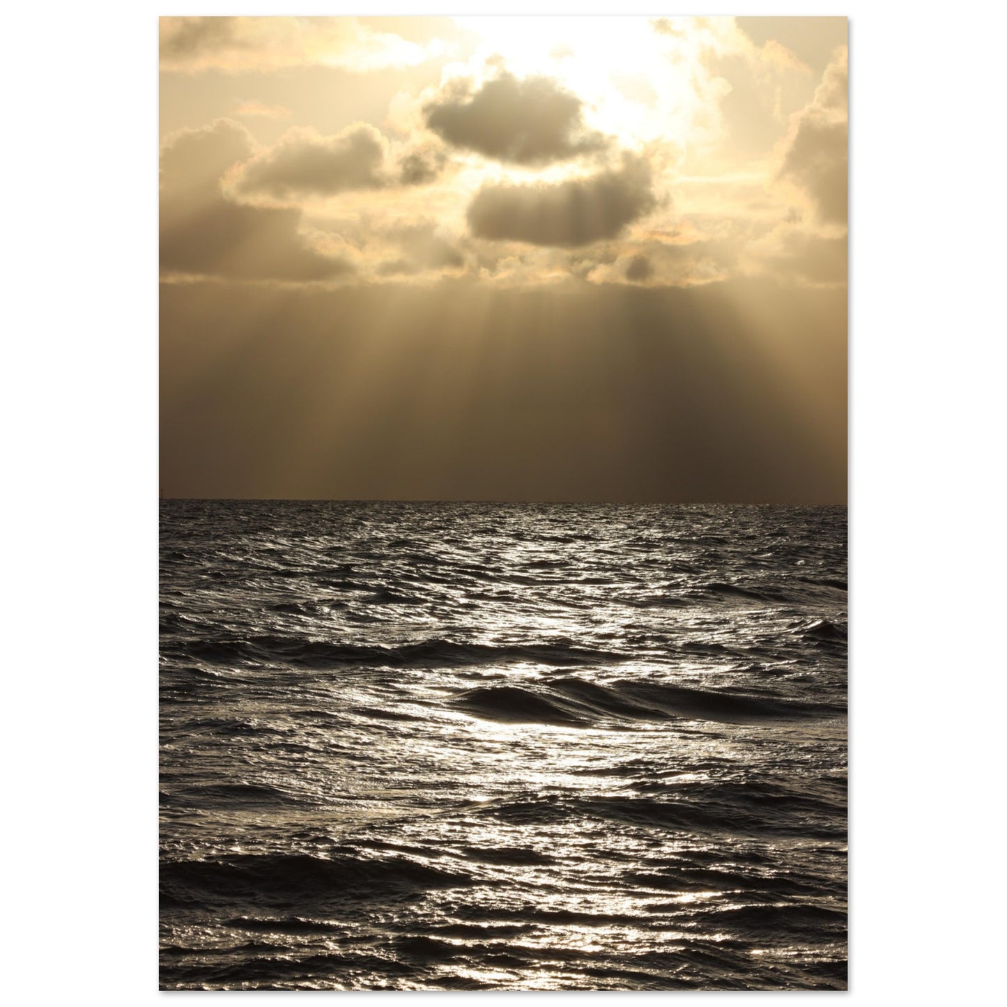 8390d458-01f2-4545-bf9d-bca74cd1e5c0