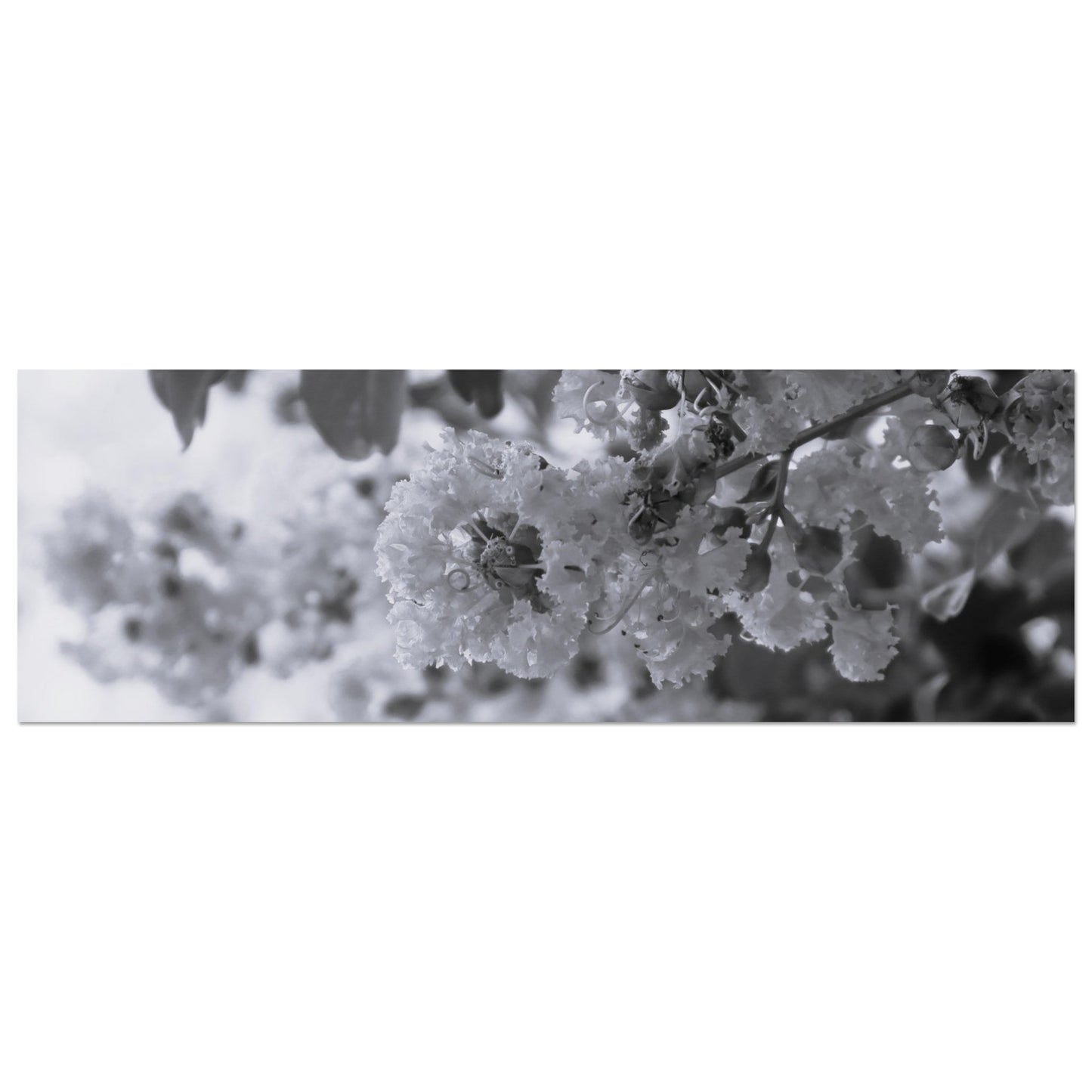 86248e94-fe96-4828-803b-6c2275934f2a