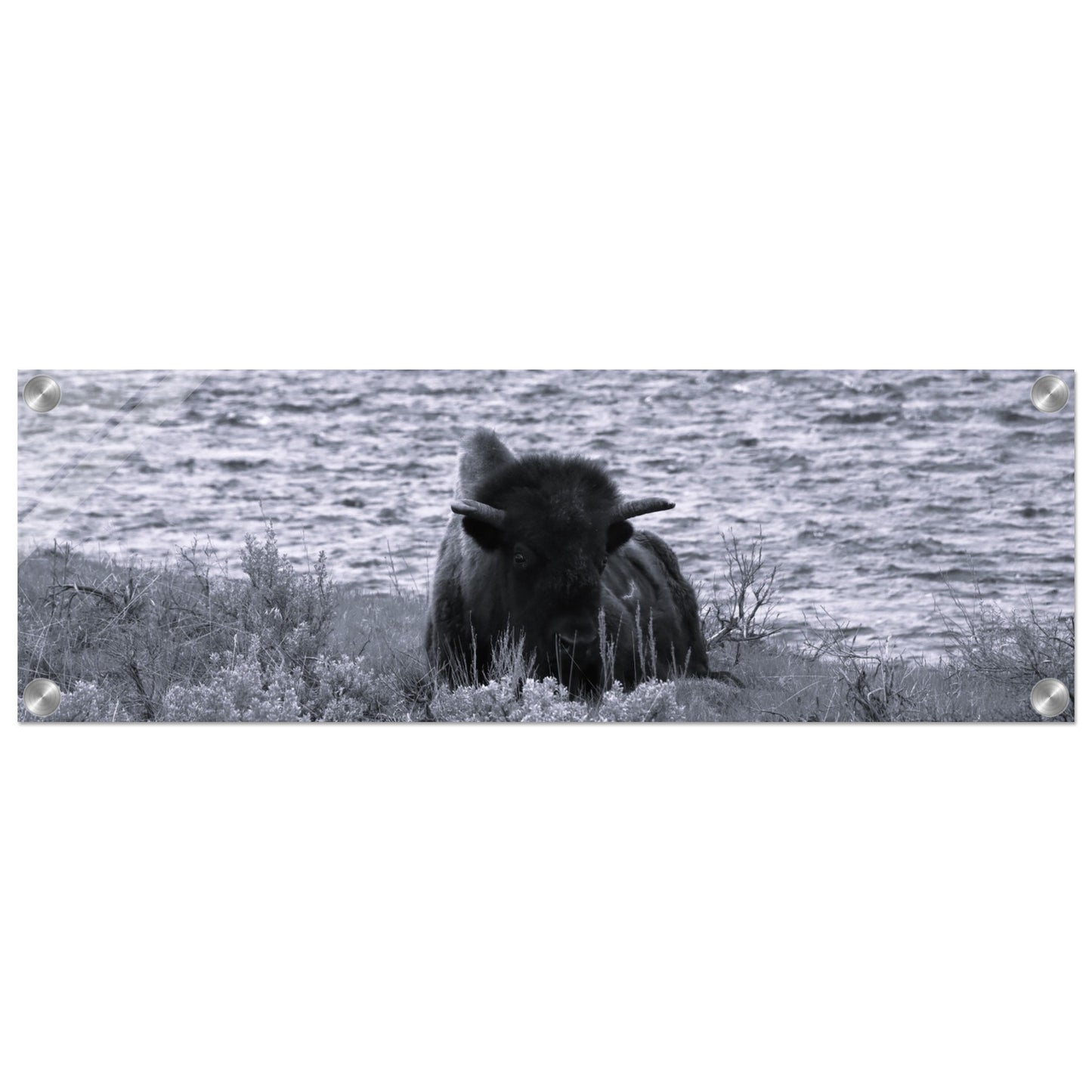 8633f730-d0a6-426d-bfd0-7c4d01e4e387