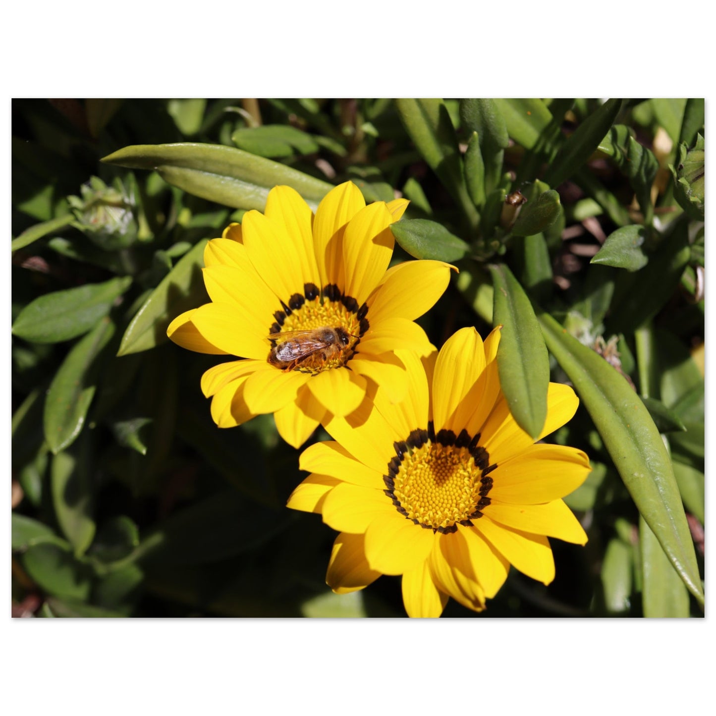 890579a0-6697-4cad-8ffa-2360381f127b
