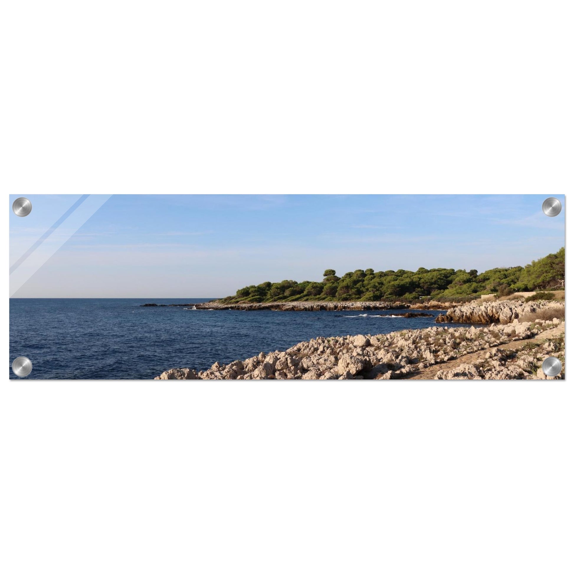 89b795b7-03ce-4a9c-a09b-1dd6a1e97a22