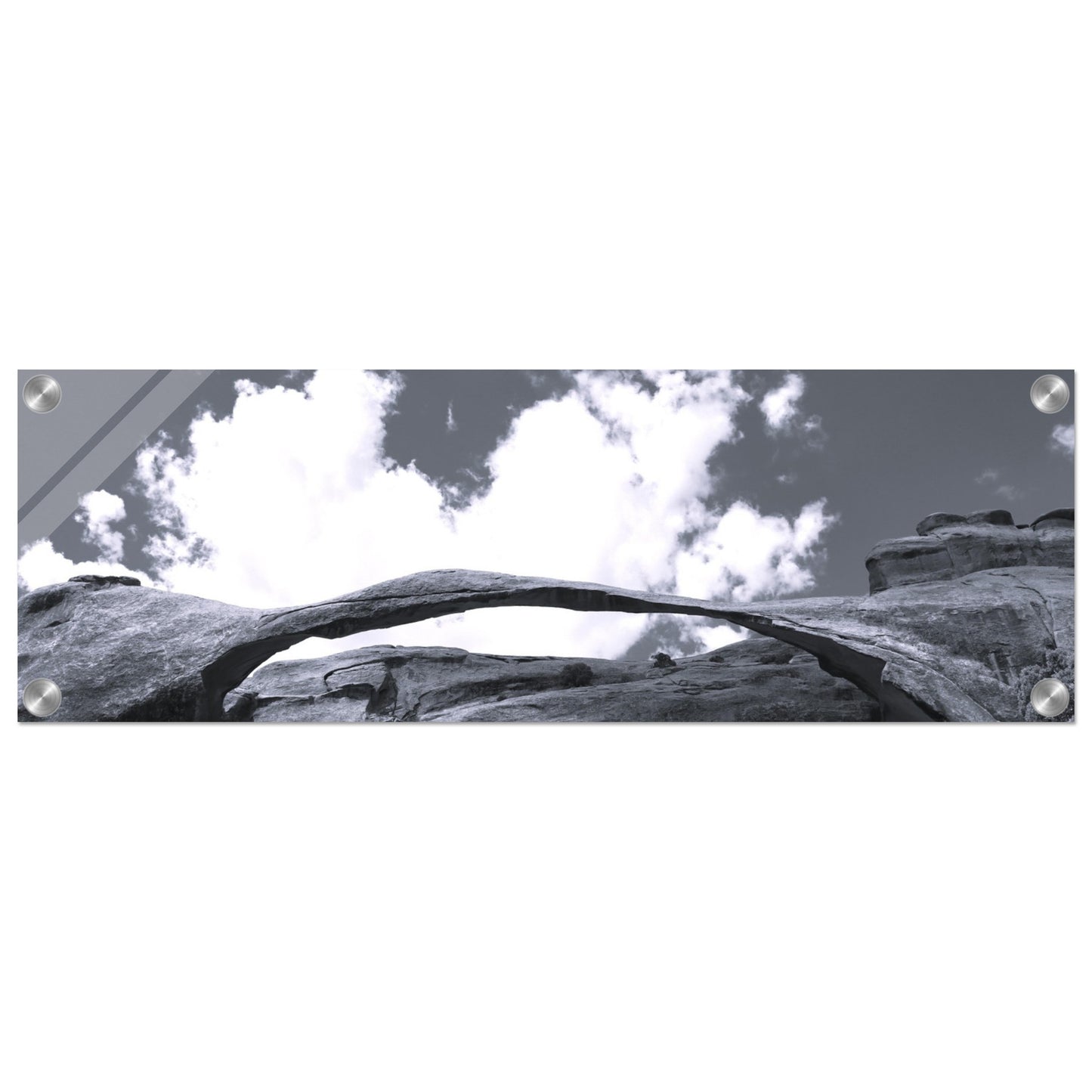 8a744d38-03b0-4bf6-b7cf-432c063a3144