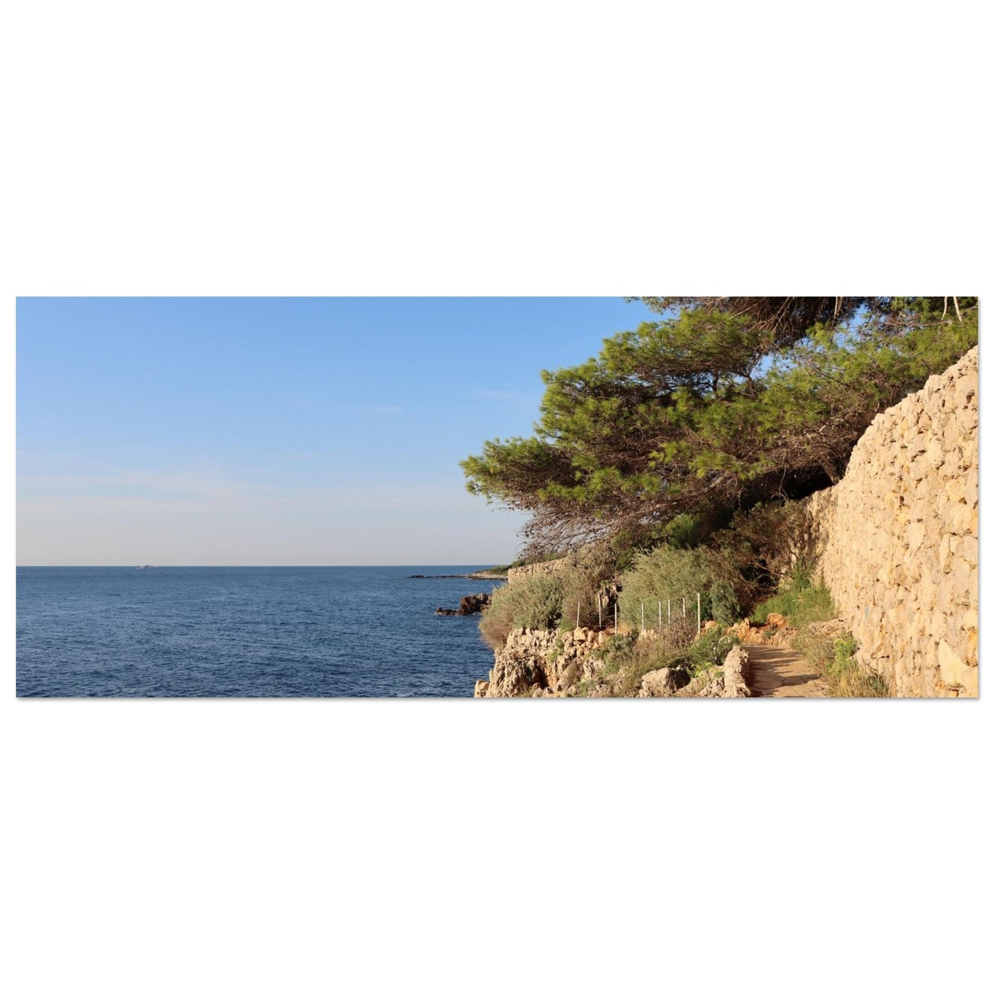 8a9edfbe-87e3-44e8-b496-c5e317474d32