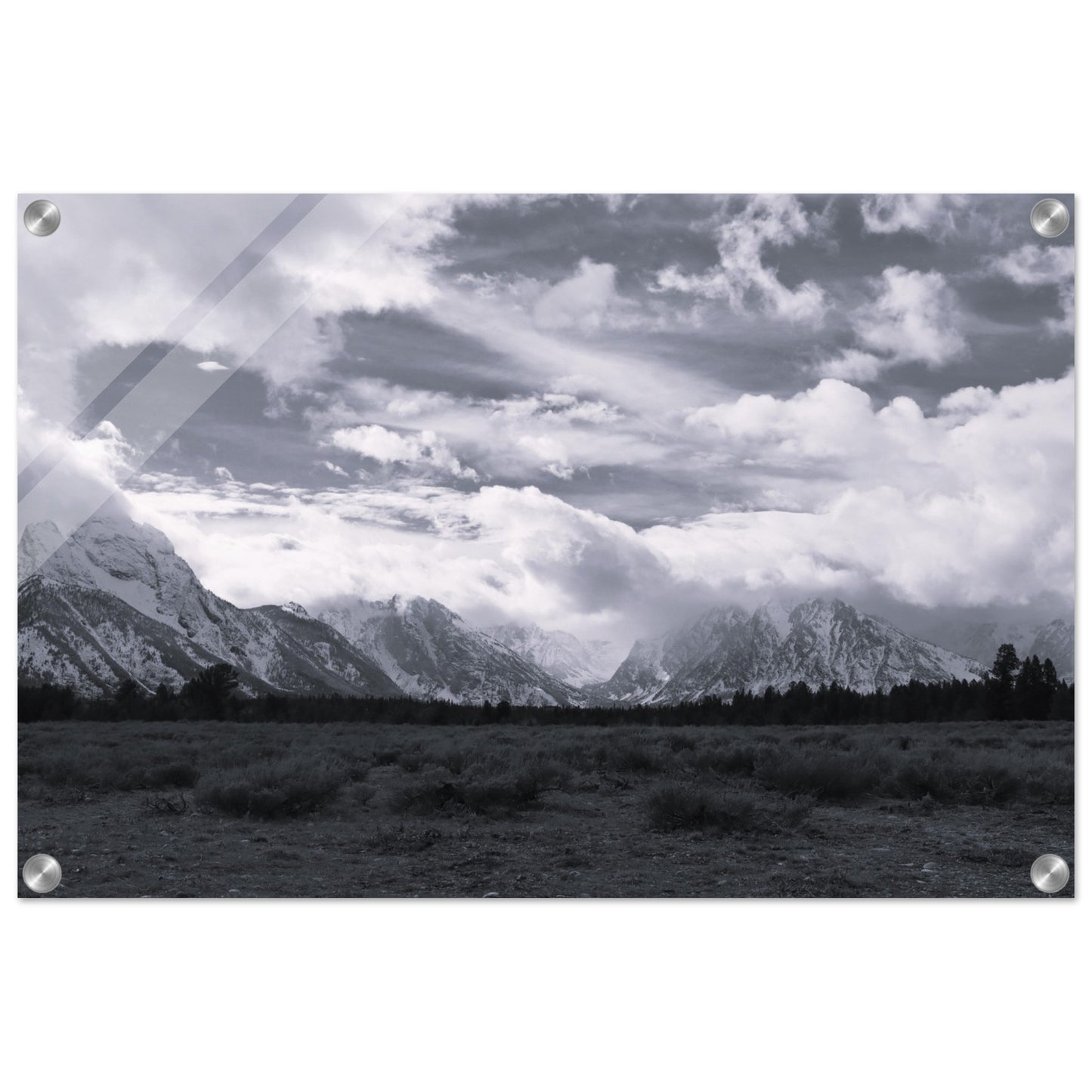 8b95a118-f835-4c11-9ac8-dba1bdcfd780