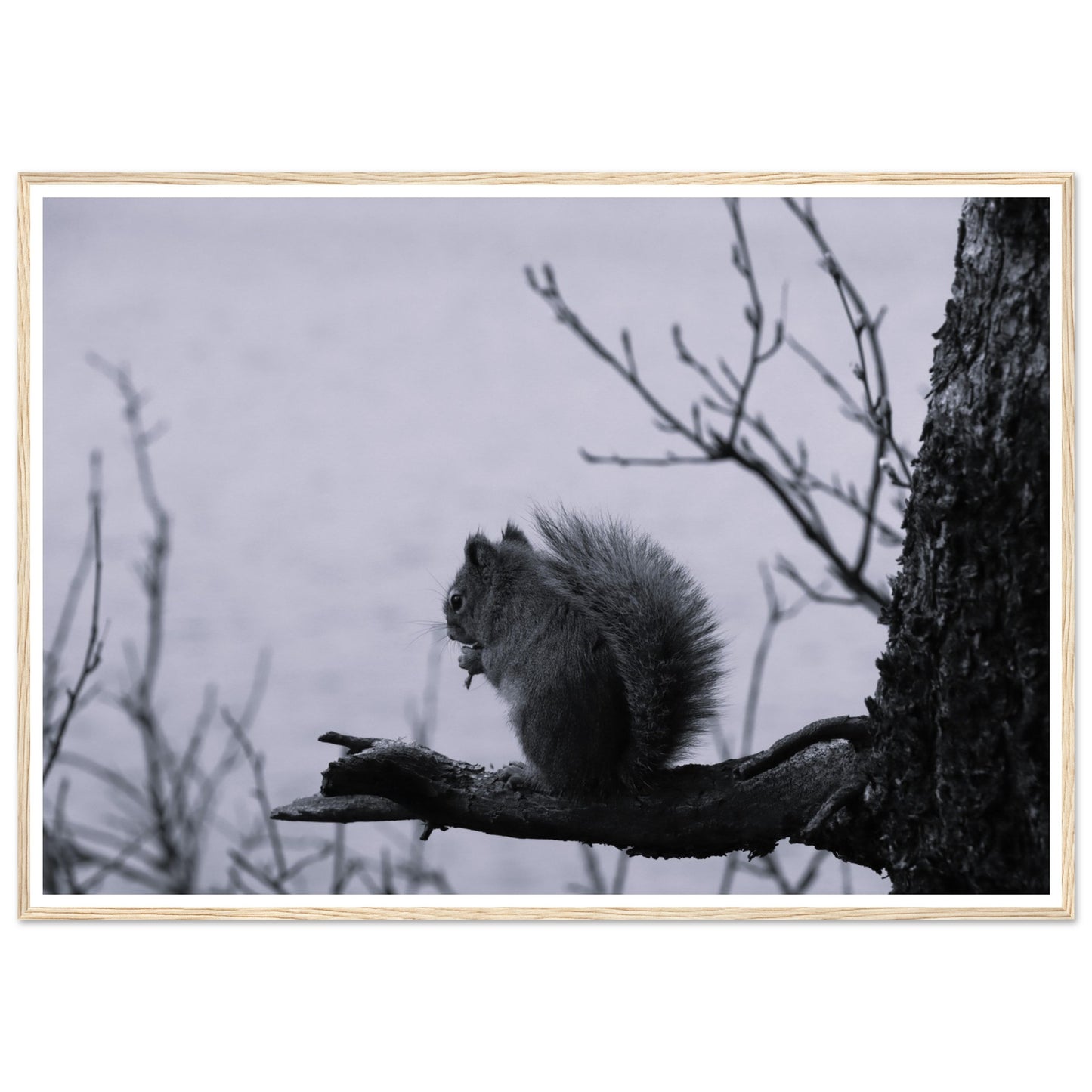 8b977388-f5ed-433c-89be-b435a828759a