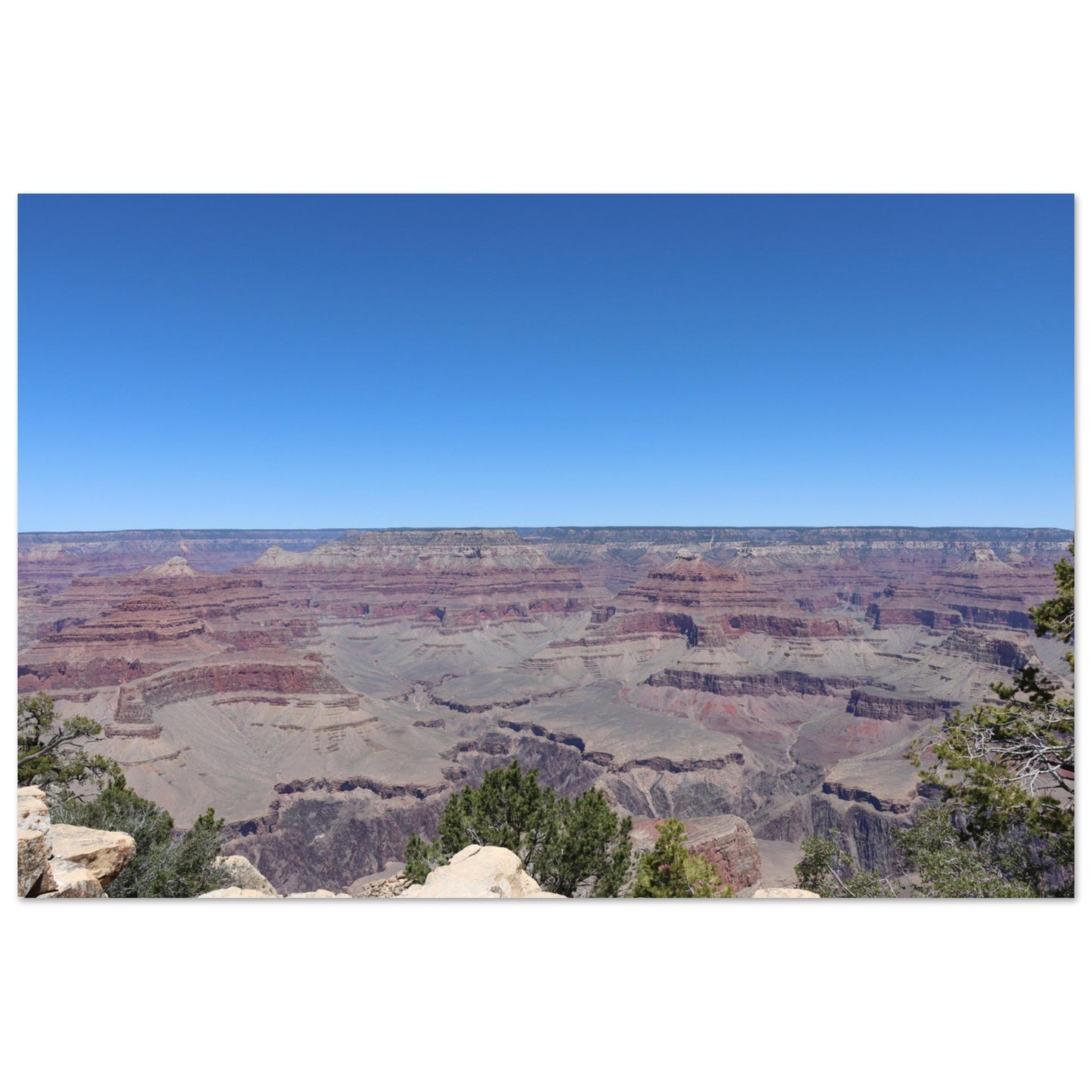 8e7a994d-2dde-4038-a05a-f35f5613fc31