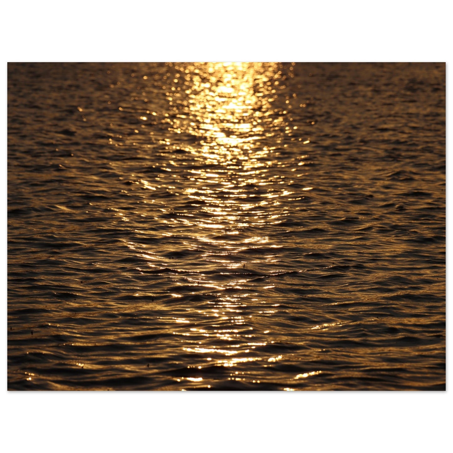 918d0ab4-4d87-4433-9c01-52682cb52440