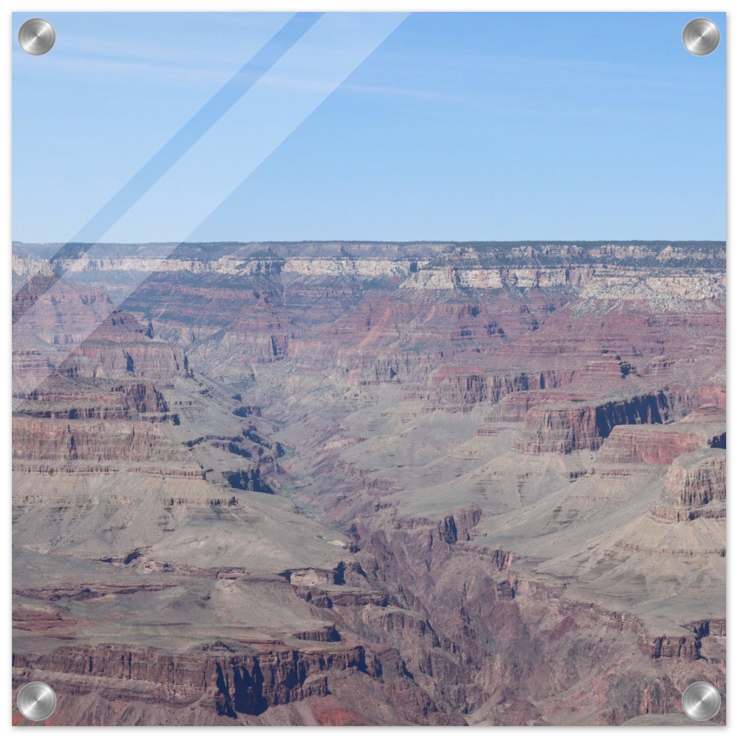 91aefb2d-f06d-4211-9e26-381dbd0f6fc2