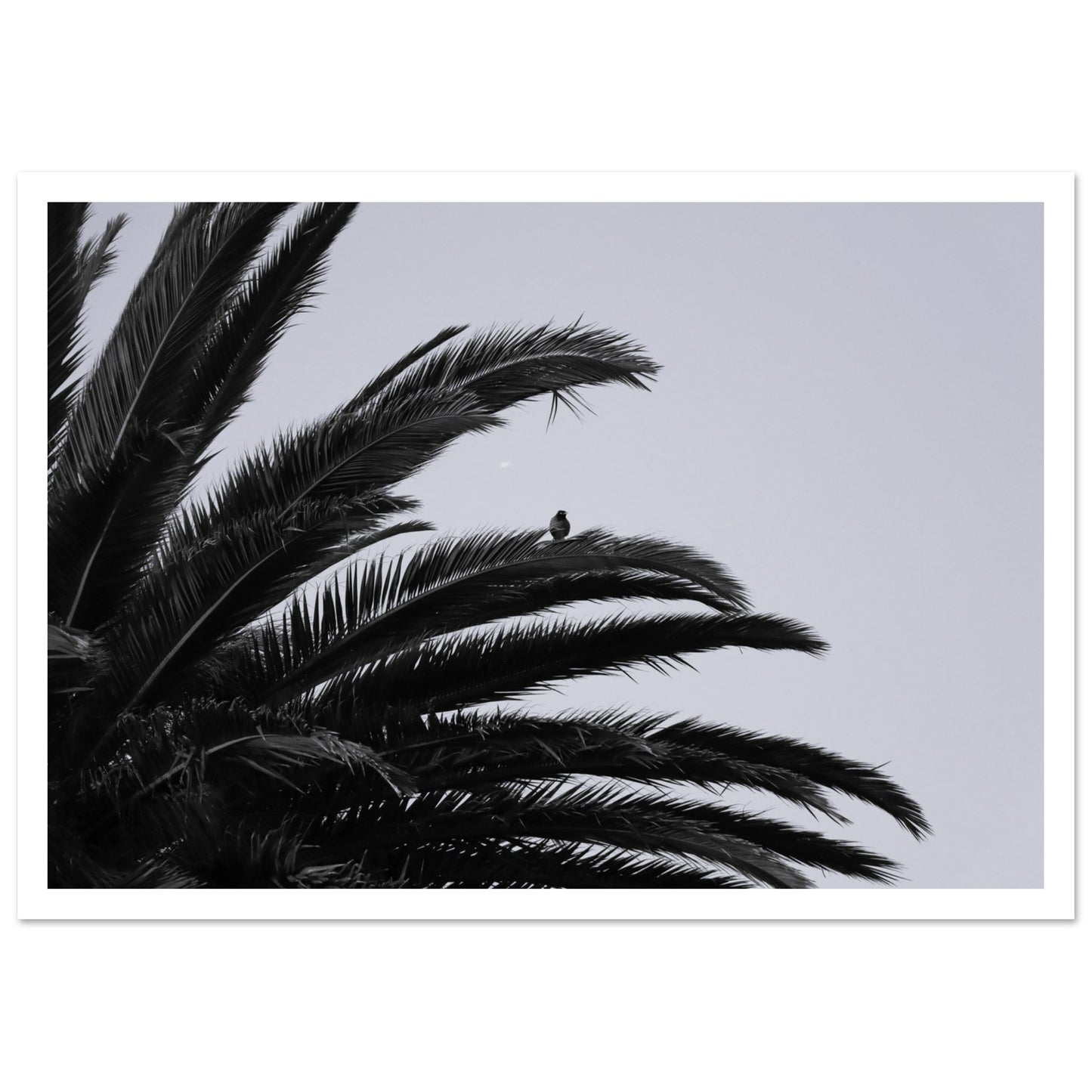 95548e32-12f3-434b-add4-feab43a4c3d7