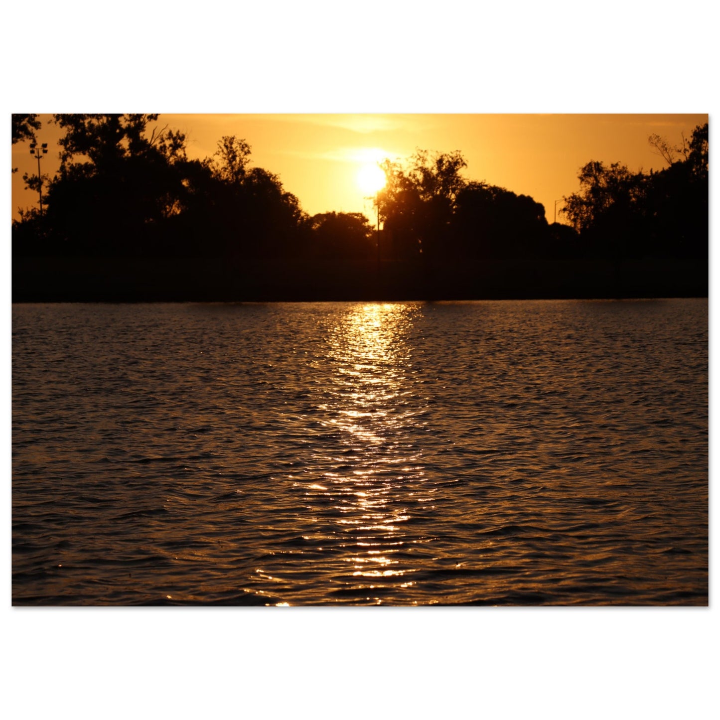 9584e3f6-3688-45af-ba32-19b429de963f