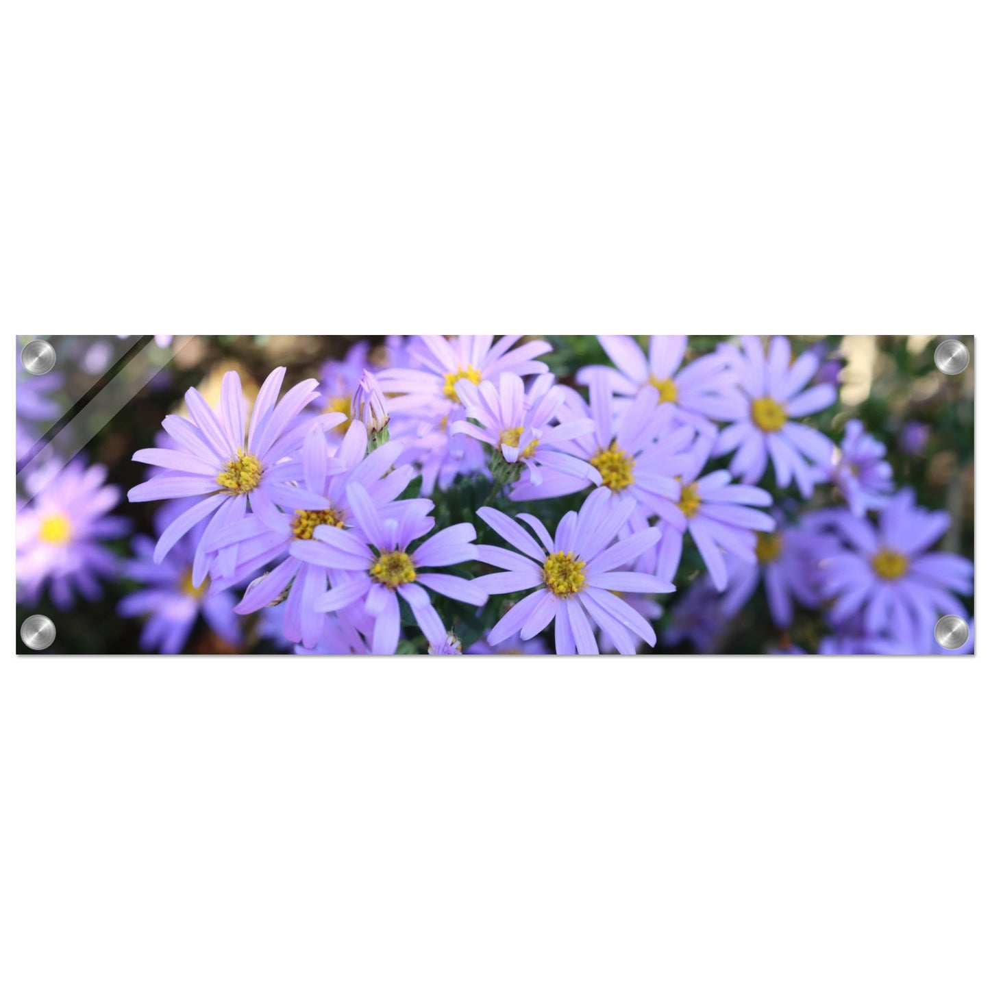 996a7979-2031-4e91-a6d3-dec651ef0ec2