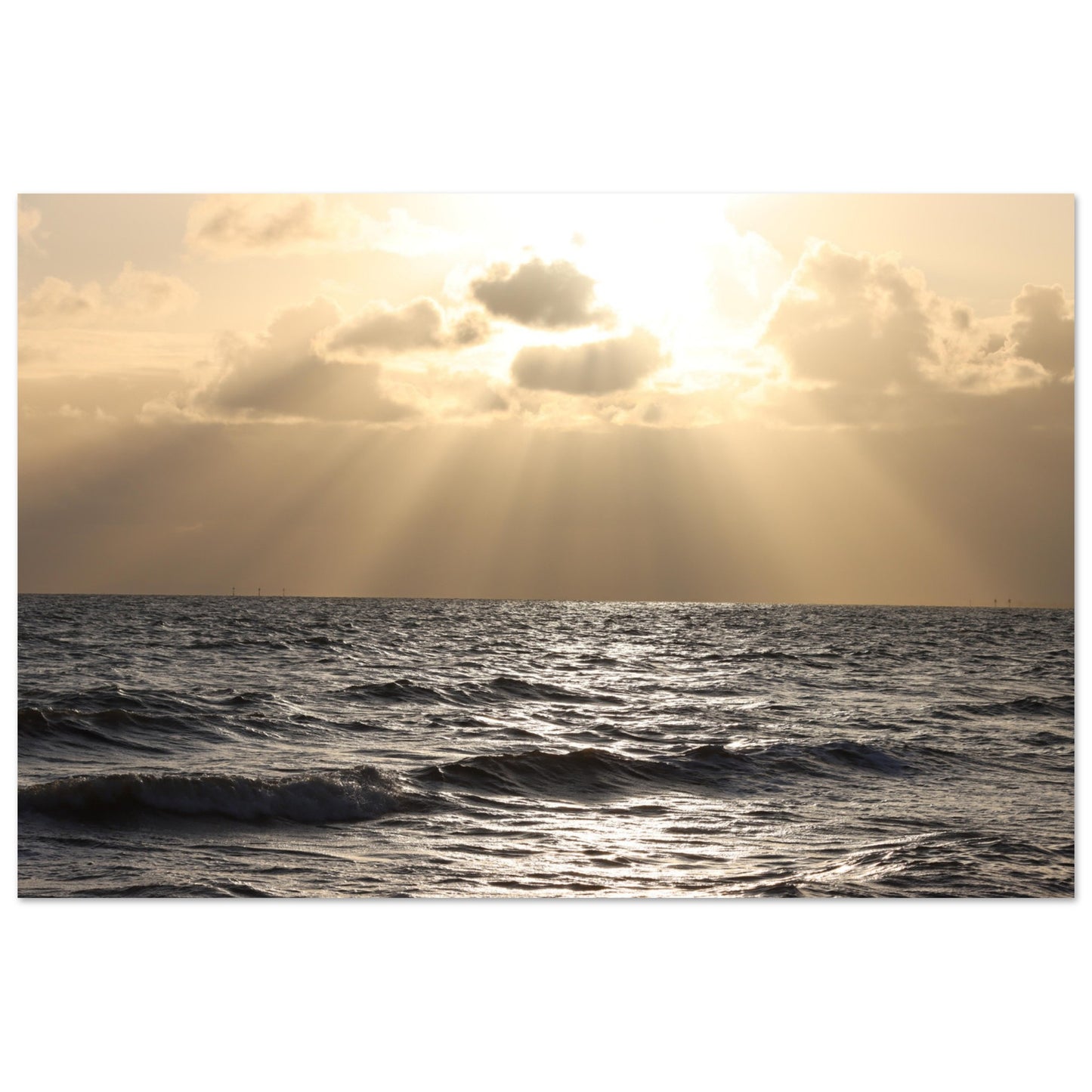 9cc591fd-7c2a-4778-b3cd-29d00c0cdc88
