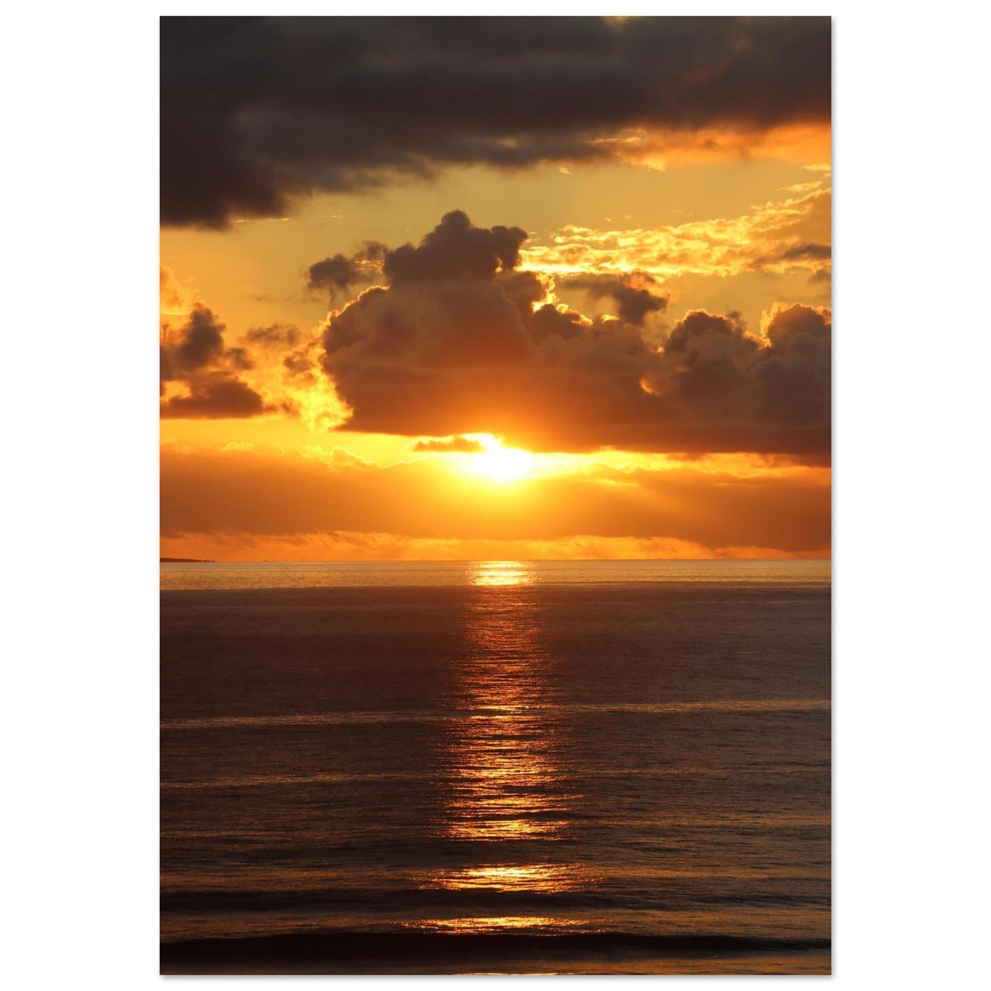 9e084bd8-73b5-4950-9e50-2e1542c995e1
