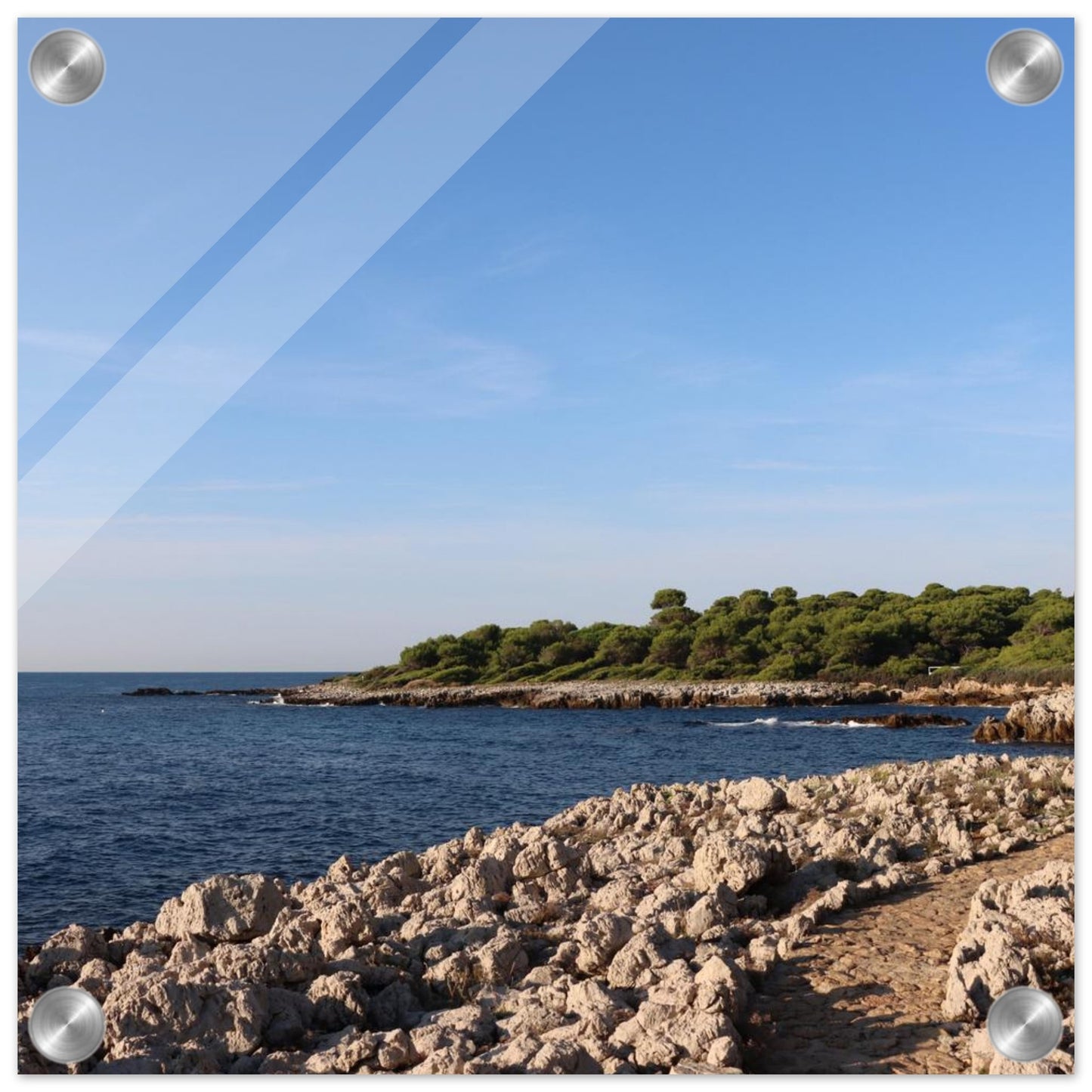 9f56d887-67d9-45da-9075-e6b1efc48298