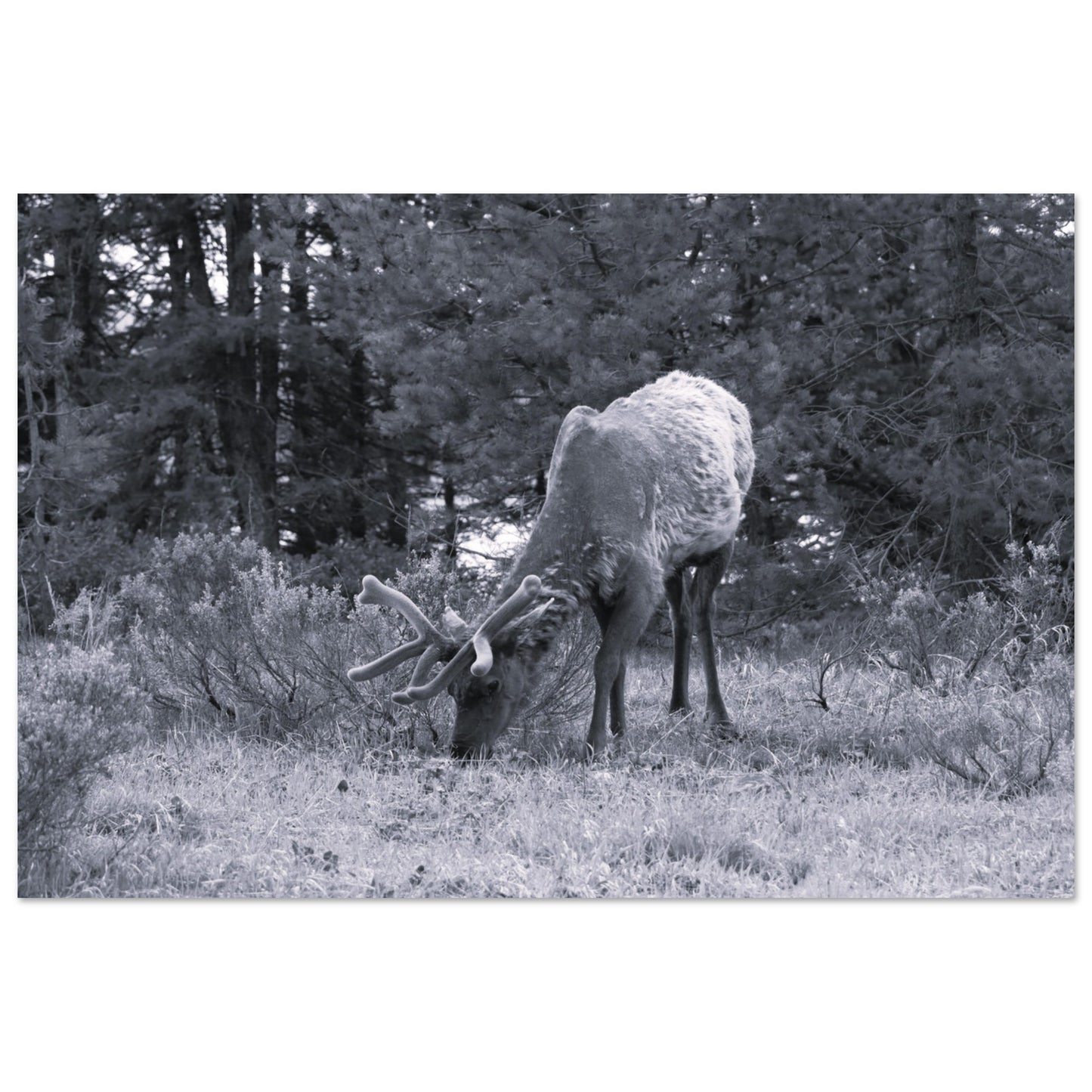 a1963547-2258-4b0b-bf29-ee4c932df959