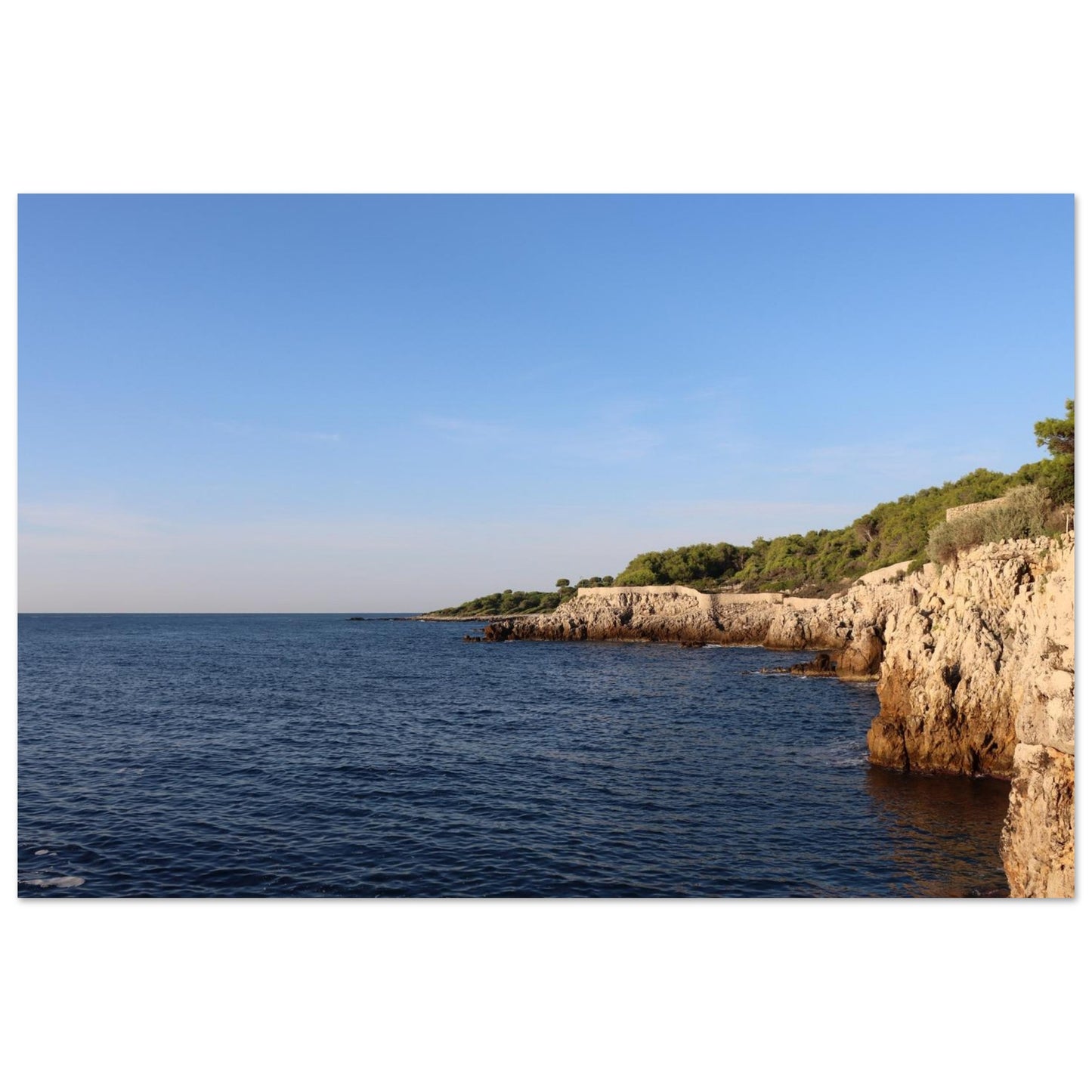 a25f048d-20b7-41bb-93cc-4a64092a09c2