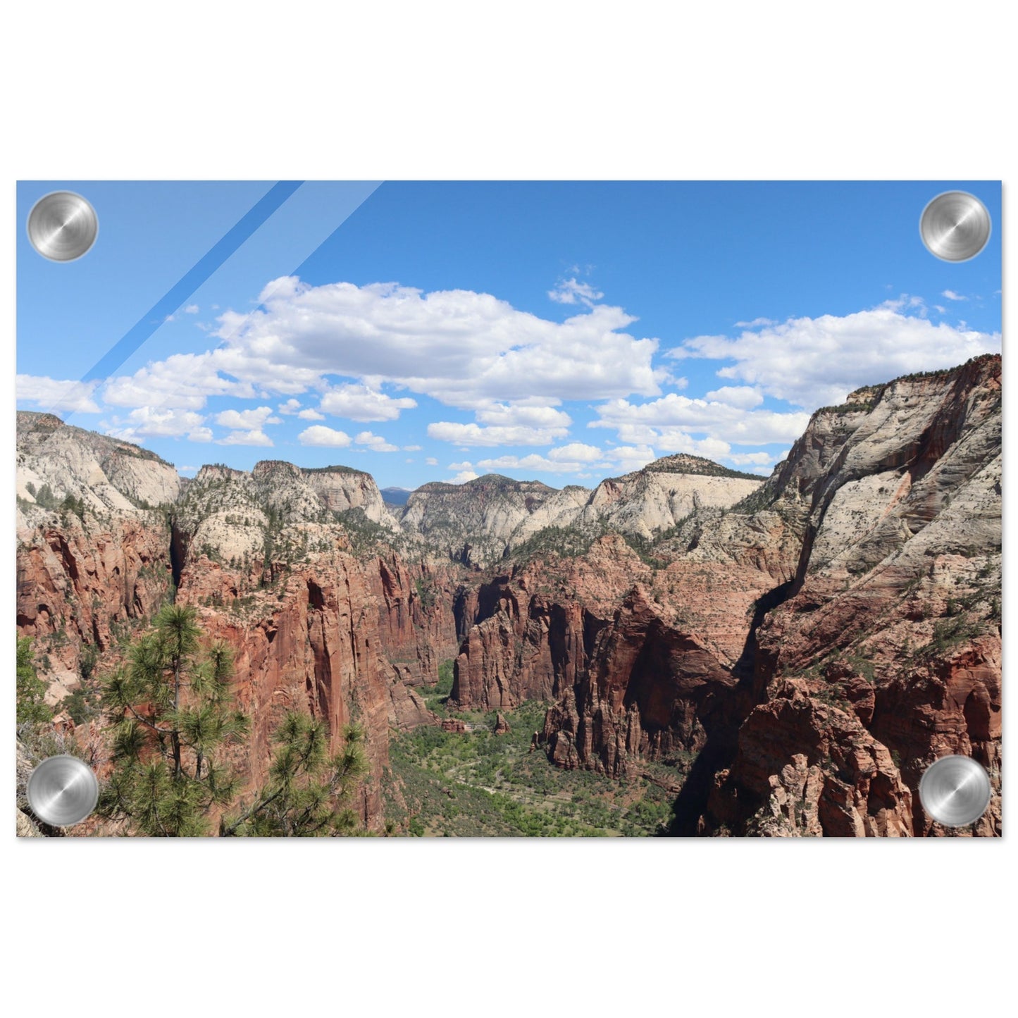 a594e5b3-1062-452c-9a8d-94d8778518fd