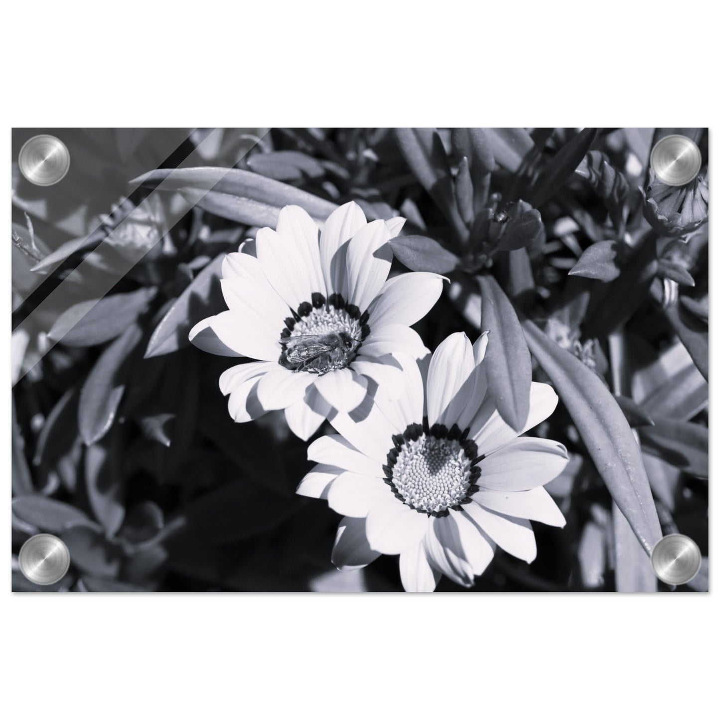 a62d65b7-cc9c-4800-a405-a6e5d99db530
