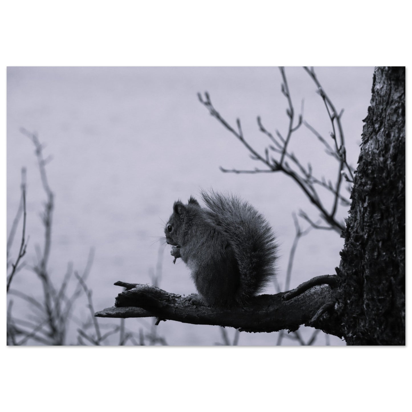 a7135a9b-f1ed-4a89-91d6-542326f3eda7