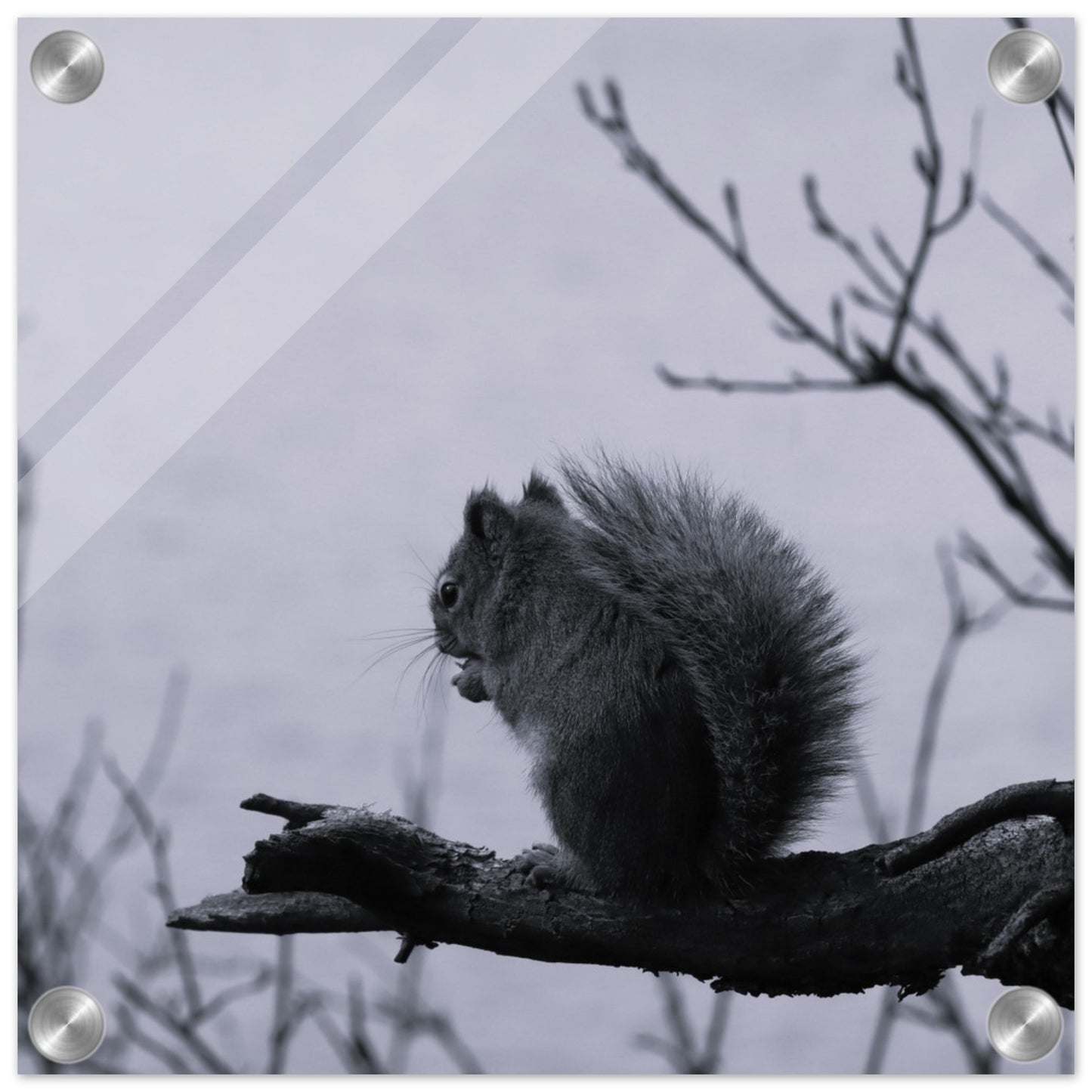 a8165299-1f72-4ea0-8b9c-57ae03176b3c