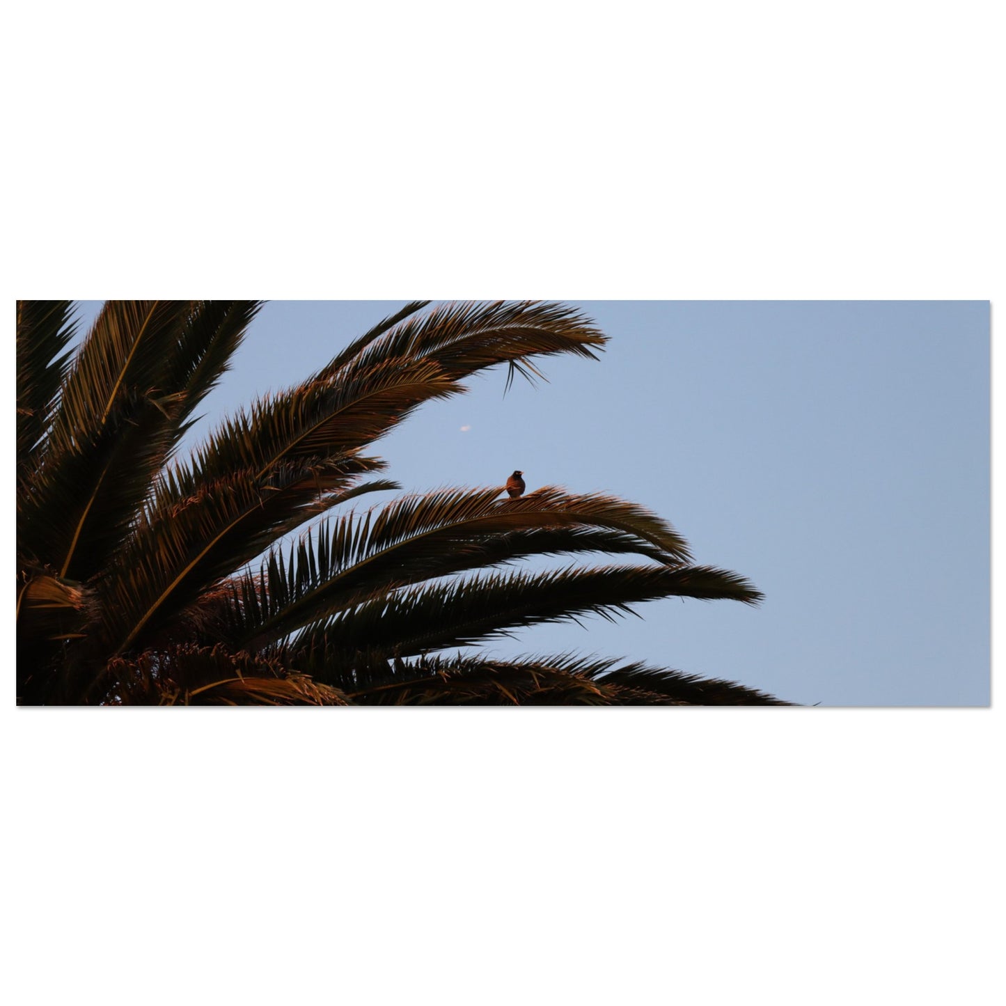 a8e2521a-c83c-4f14-8310-8fbcc7a8aae7