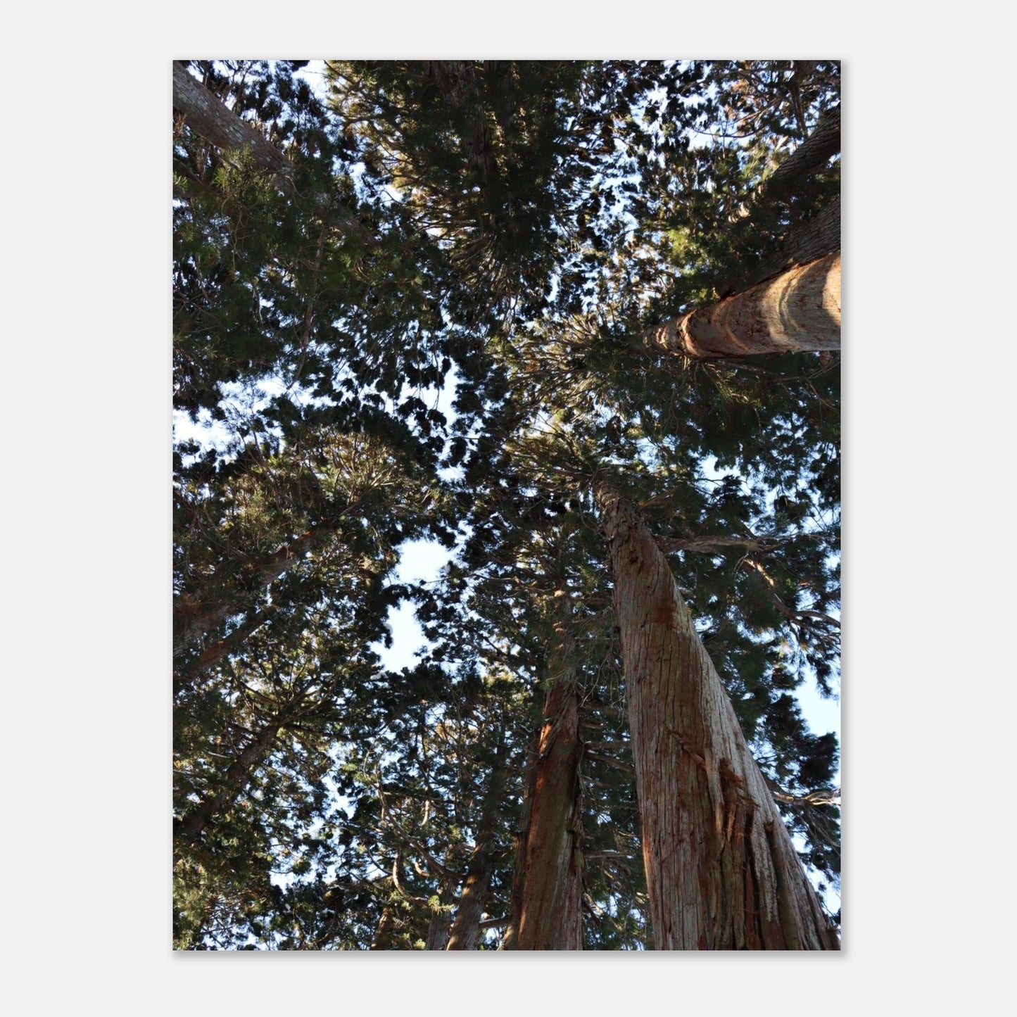 ae352111-4e5e-465e-b749-a7c6de2c8346