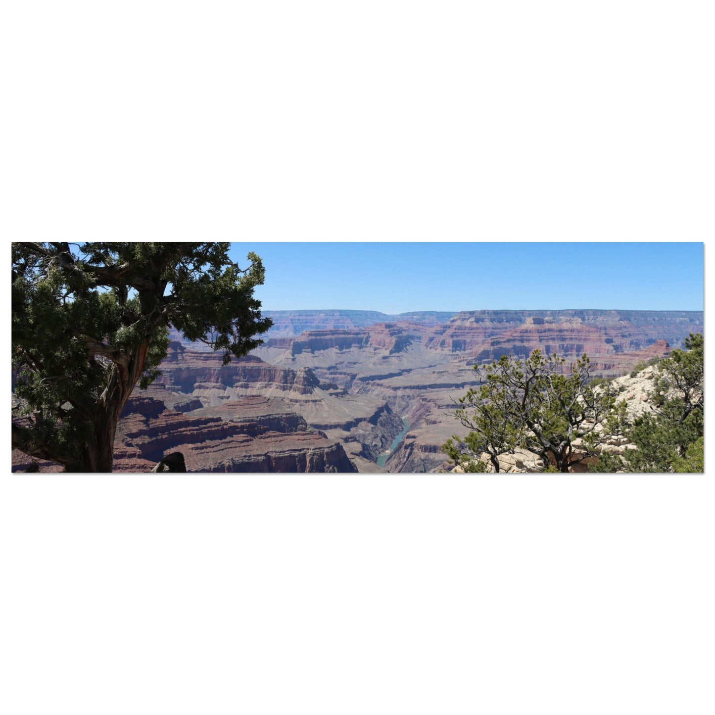 af968846-1e56-47c6-96bf-a62034d8e2f5