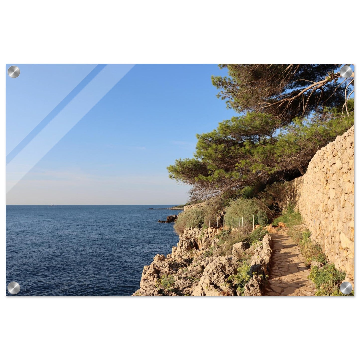 b09465dd-567d-4ed3-90c5-ee0cf1c7cff8